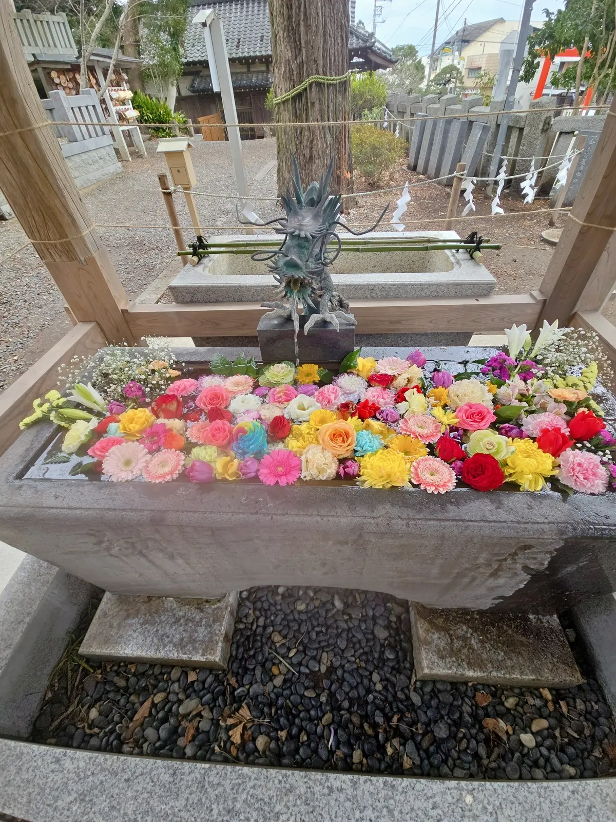 夫婦で楽しむ早春の房総ドライブ 前編 パの画像_6