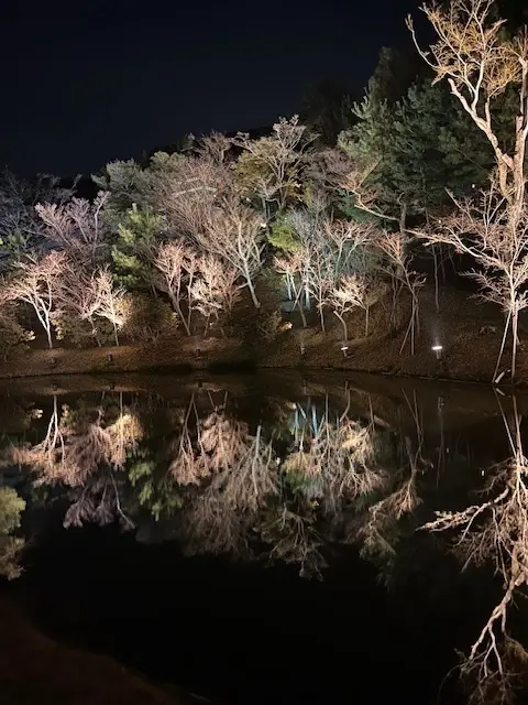 母との京都旅行　高台寺のライトアップが素の画像_11