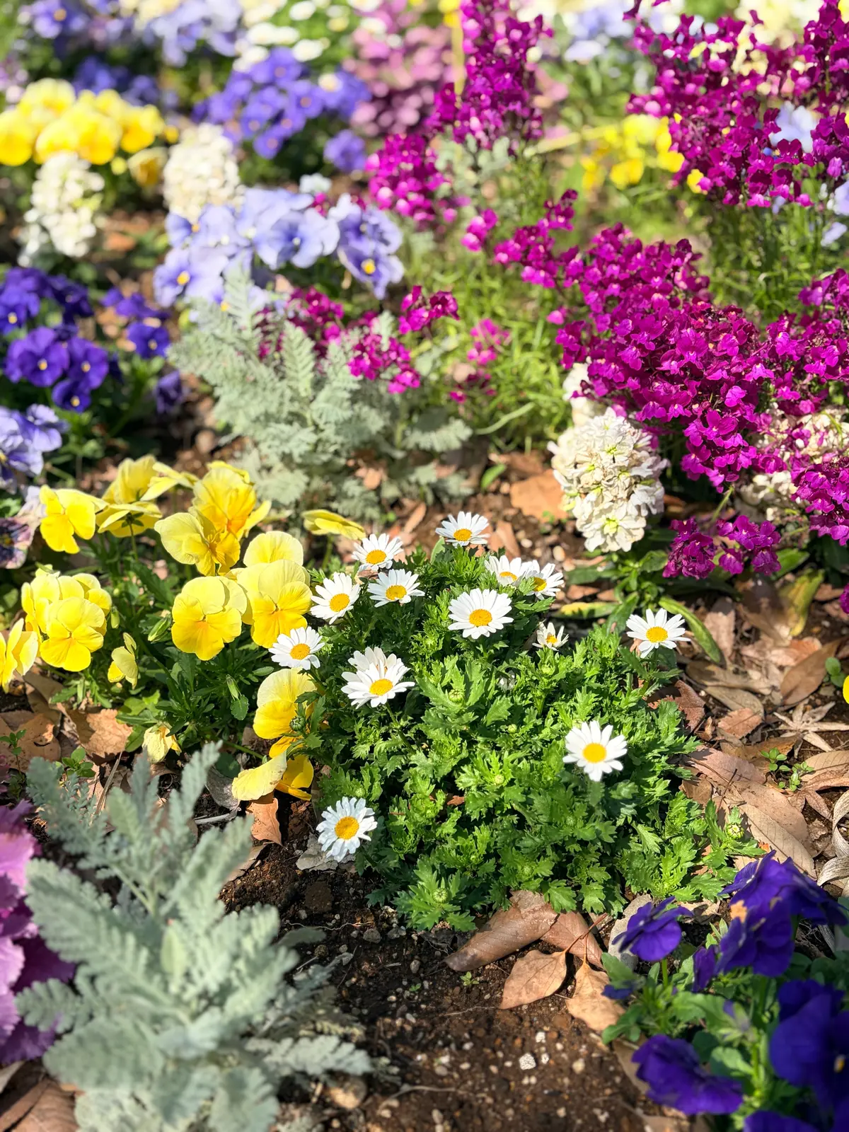 「今着なきゃいつ着るの！？」アラフィフピの画像_5