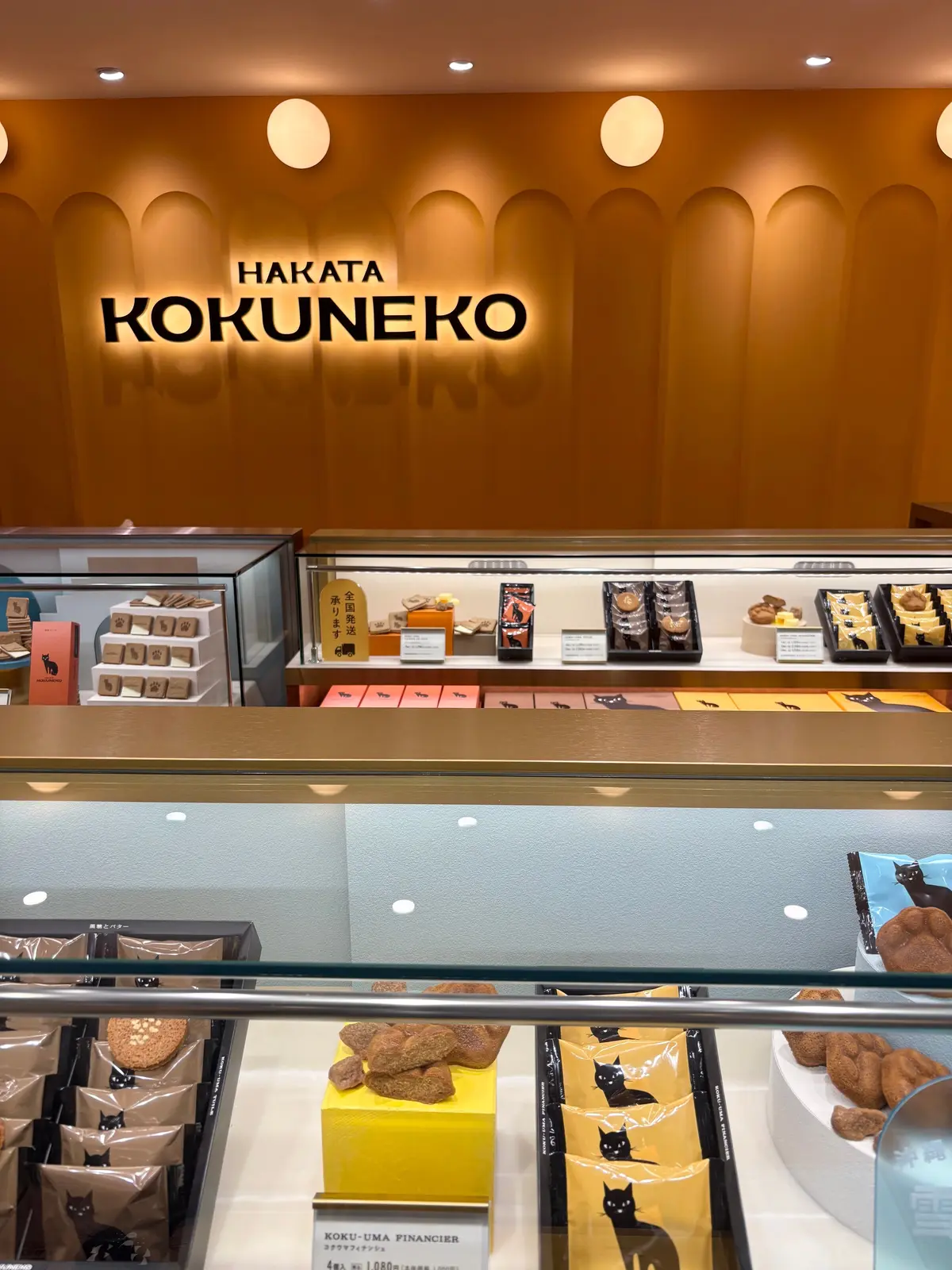 HAKATA KOKUNEKO（博多コクネコ）