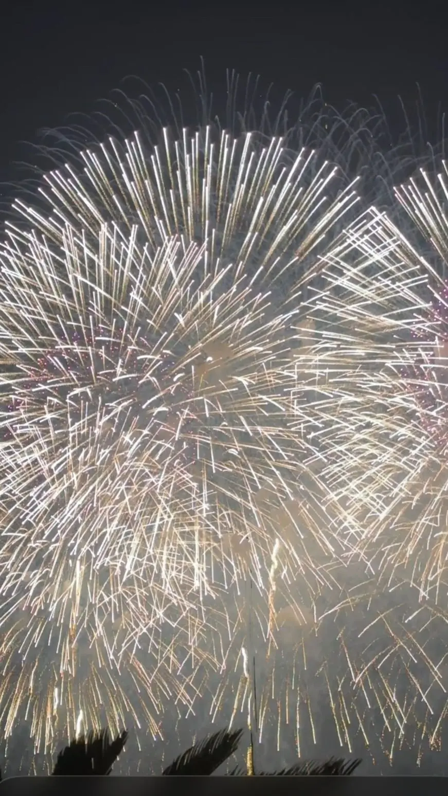夜空に広がる、白い光の放射状の火花が密集した花火。下部には手木がシルエットで写っている。