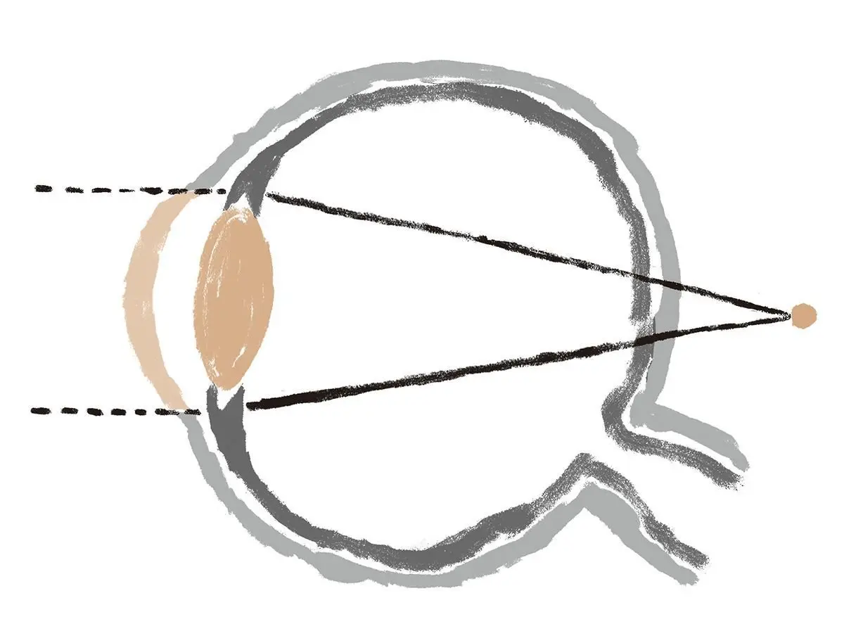 【 老眼の目 】