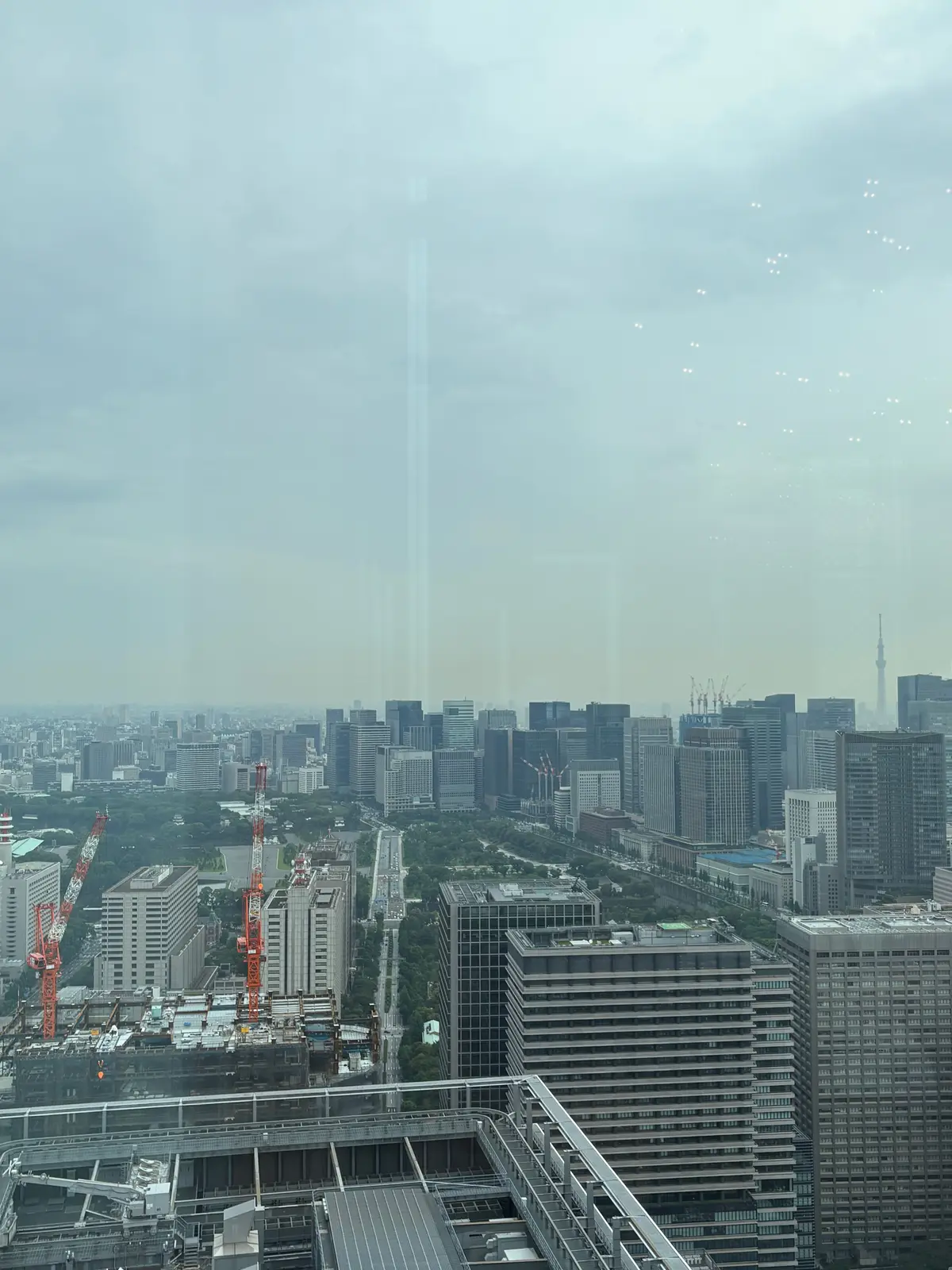 高層ビルからの眺め。東京の都市景観が広がり、遠くに超高層ビルがそびえ立つ。建設中の建物や緑地、電波塔も見られる。空は曇り。