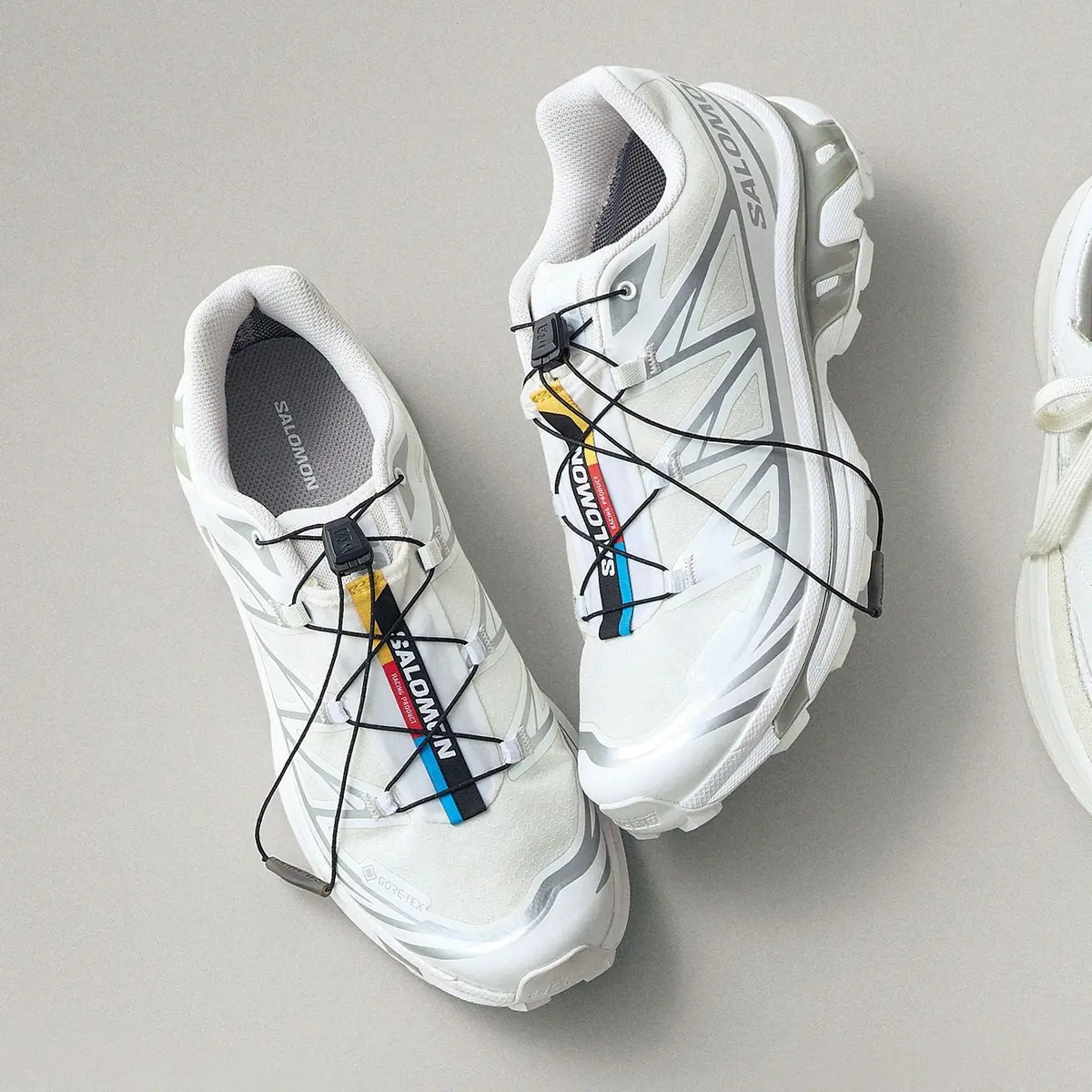 白い Salomon（サロモン）のトレイルランニングシューズが2つ並んでいる。特徴的なシューレースシステムと、サイドの三角形のロゴが目立つ。GORE-TEXのロゴも確認できる。