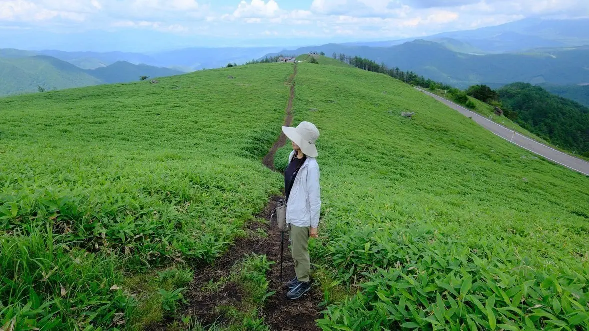緑豊かな山頂に立つ女性。白いジャケットと帽子を身につけ、トレッキングポールを持ち、遠くの山々を見つめている。遊歩道と道路が山頂へ続いており、背景には連なる山々が広がる。