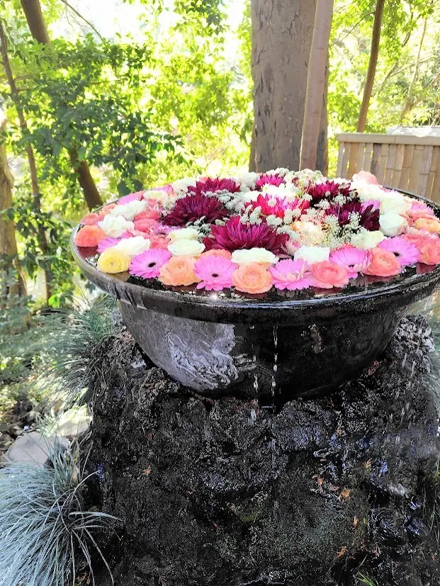 【埼玉グルメ&氷川神社散歩】地元を満喫💖の画像_5