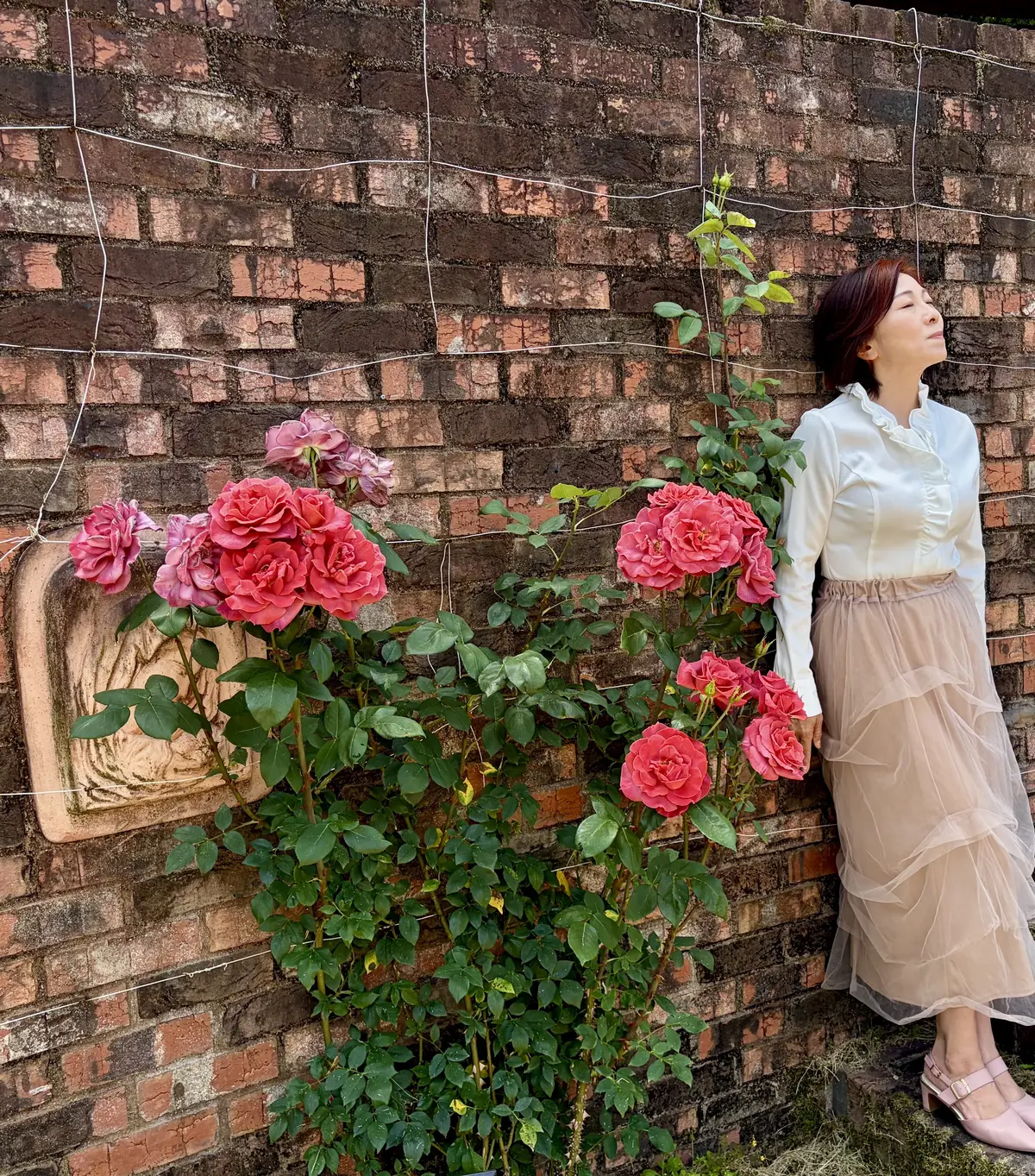 薔薇の楽園。ぎふワールド・ローズガーデンの画像_5