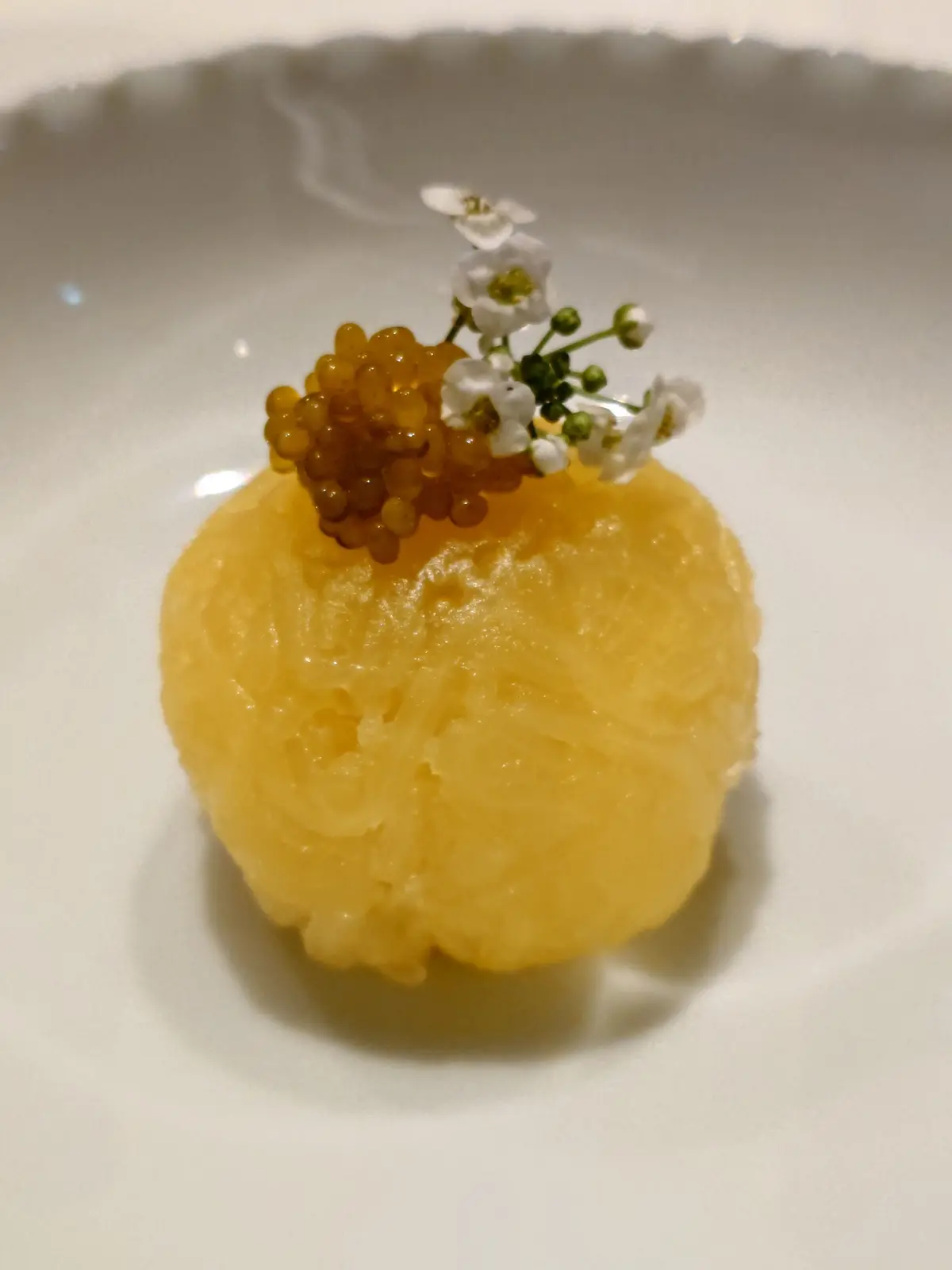 白い波状のプレートに、黄色いゼリー状の料理が中央に置かれ、小さな白い花と黄色いビーズがトッピングされている。背景にはワイングラスとカードが置かれている。