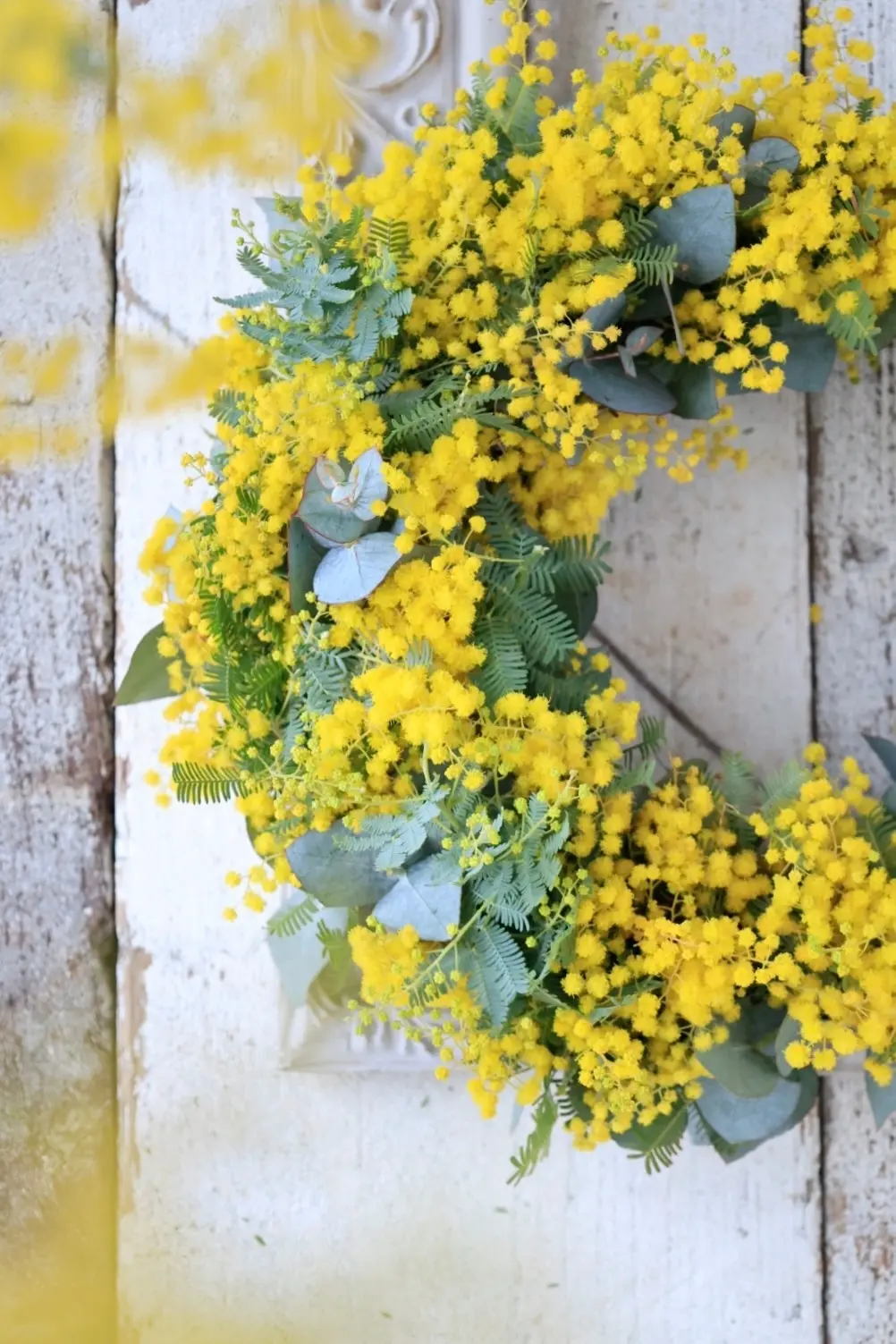 ミモザ　ミモザ国際女性デー　　花瓶　飾り方 ミモザのブーケ　 銀葉アカシア　