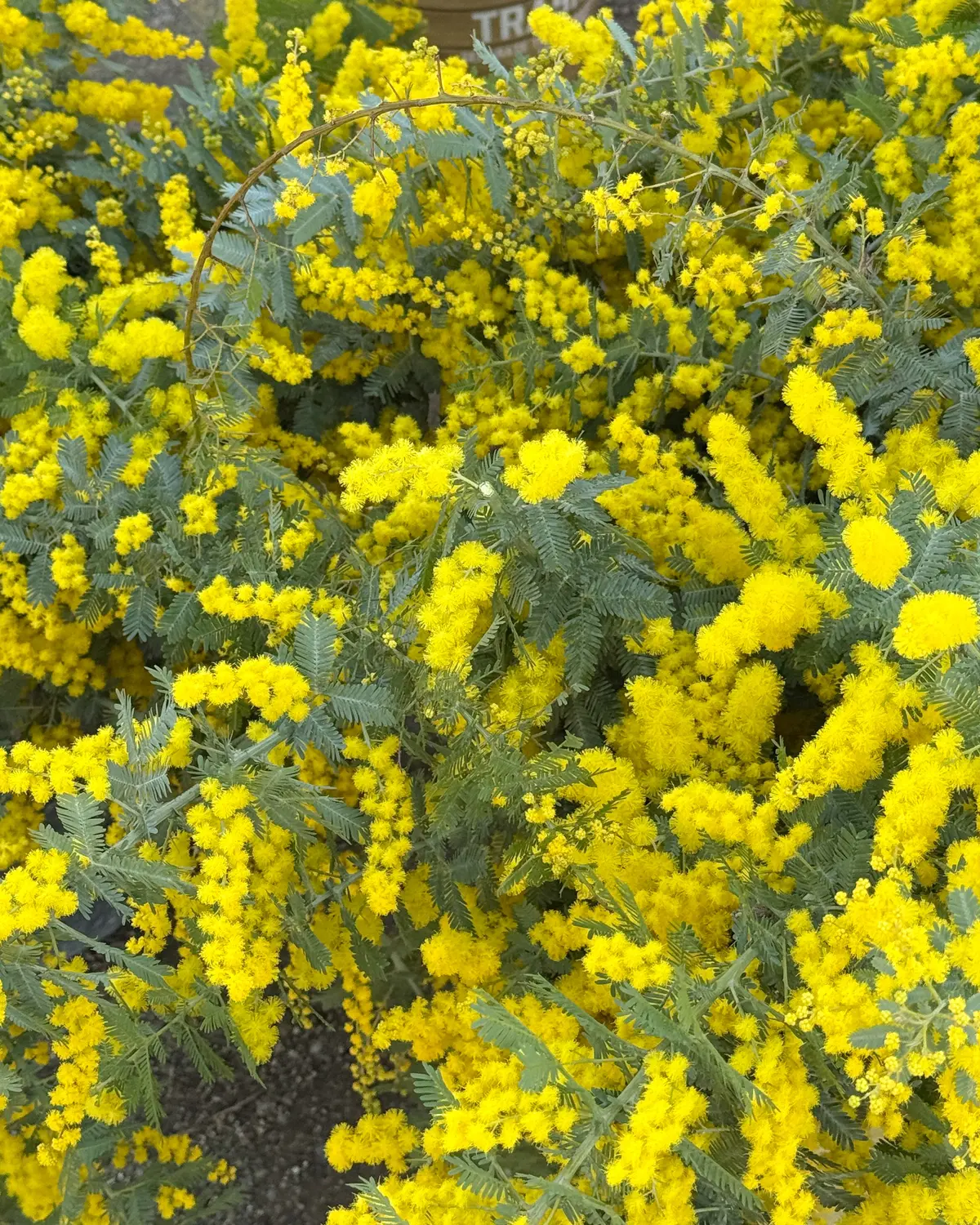 三重の人気スポットVISONで、友人と過の画像_9