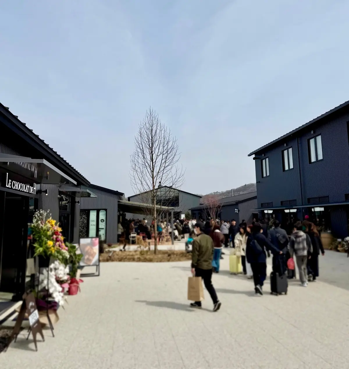 【軽井沢】3/17グランドオープン！注目の画像_11