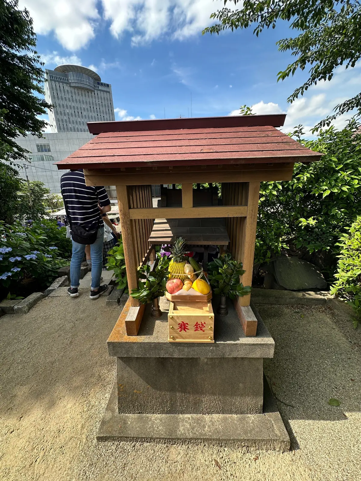 白山神社　あじさいまつり　紫陽花　手水舎　富士塚　梅雨　散策　浅間神社
