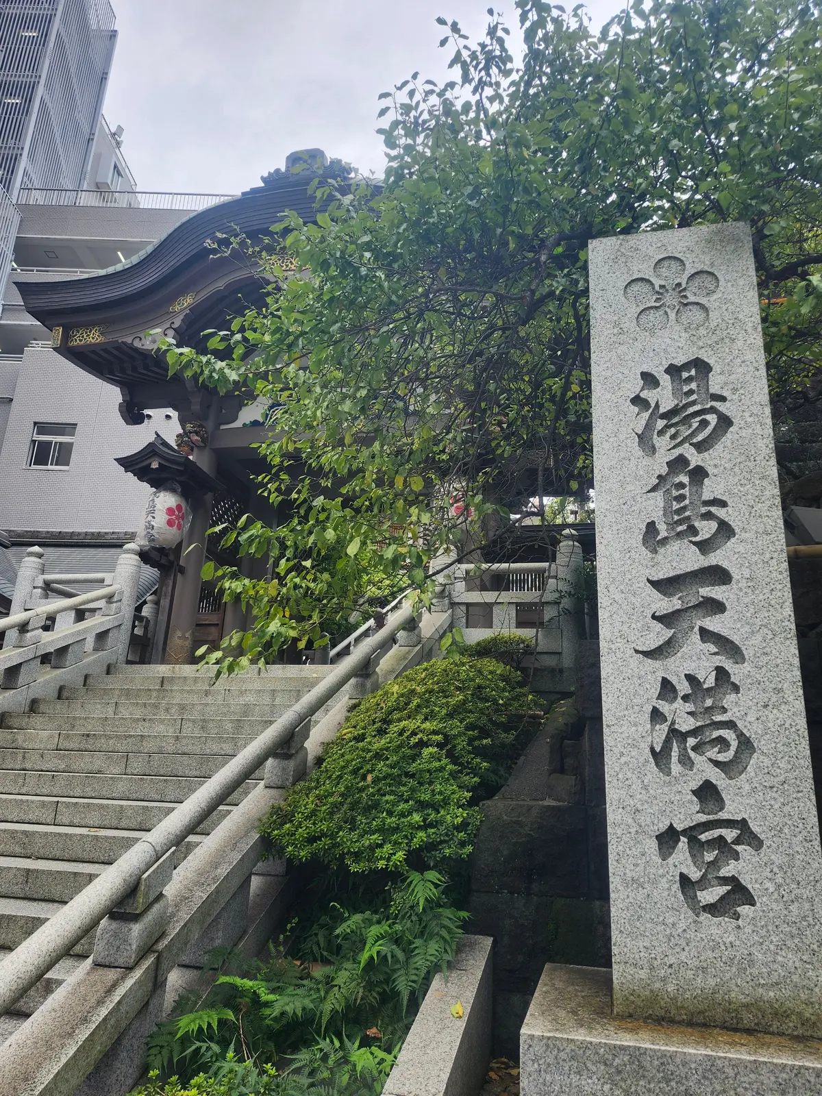 甘味処みつばち、湯島、小倉アイス発祥、小倉あんみつ、あんみつ、東京三大あんみつ、江戸三大あんみつ、アラフィフファッション、プラスオトハ、黒蜜