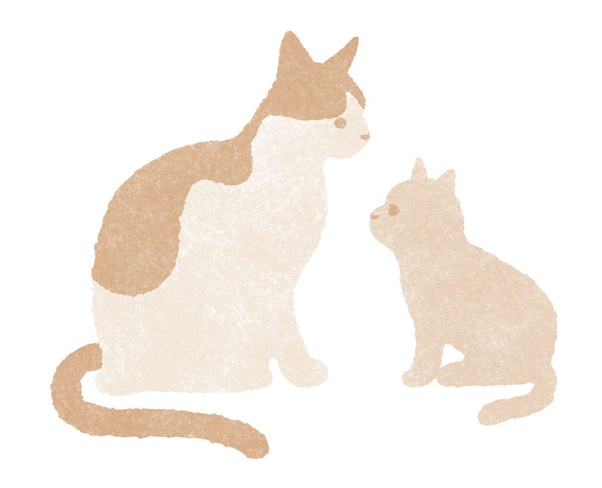 茶色と白の猫が座り、小さな猫がこちらを見ているイラスト。猫たちは毛並みが粗く、手描きのよう。