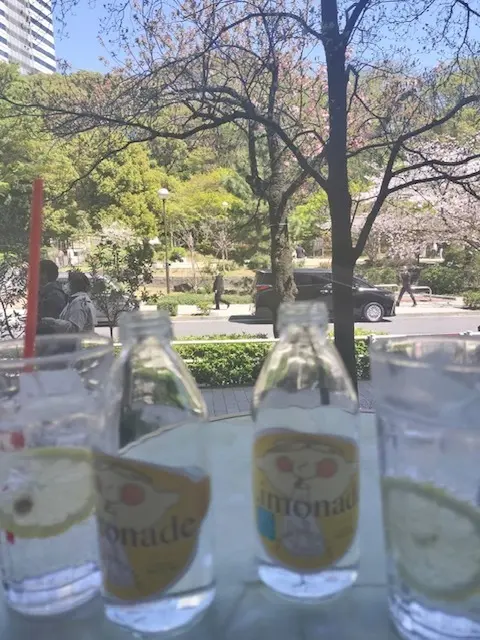 お花見の時期の特等席の画像_4