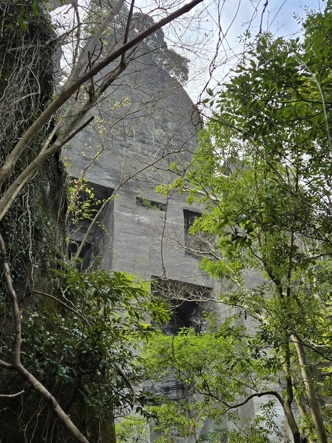 快晴の鋸山リベンジ｜登山道から巡る日本寺の画像_5