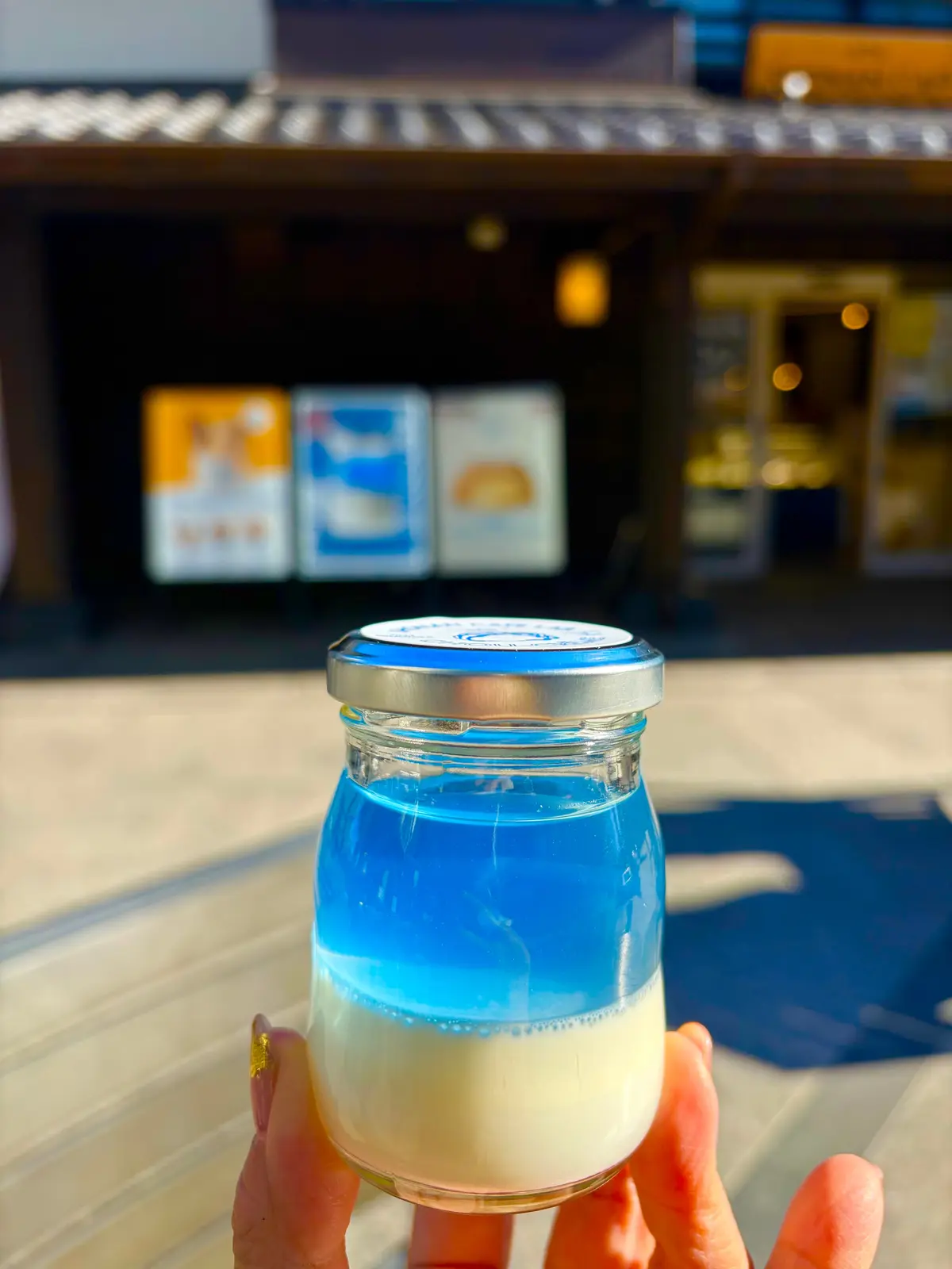 冬旅　小田原梅まつり　日帰り温泉　おさんぽ　おでかけ　日帰り旅行　足湯　小田原　小田原城ミナカ小田原　展望足湯庭園　鈴廣　小田原みやげ　小田原ロール　湘南プリン　鯵の唐揚げ　小田原城最中