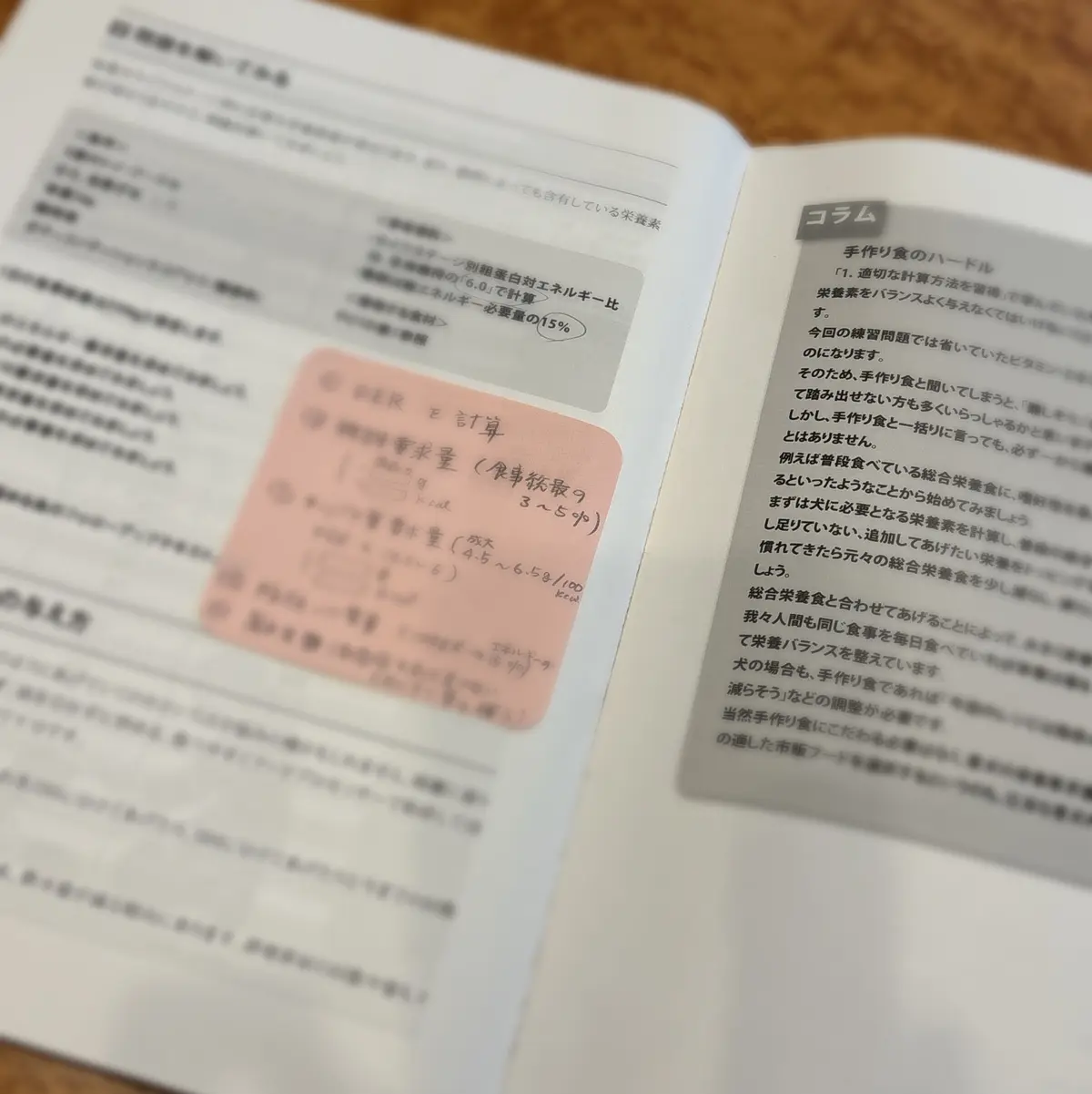 犬の管理栄養士