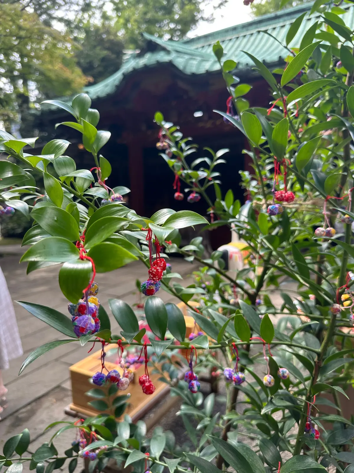 赤坂氷川神社　夏越大祓　茅の輪くぐり　厄除　縁結び　赤坂　六本木　おみくじ