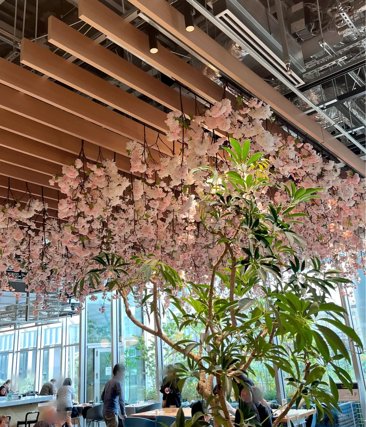 八重洲で花活♪の画像_10