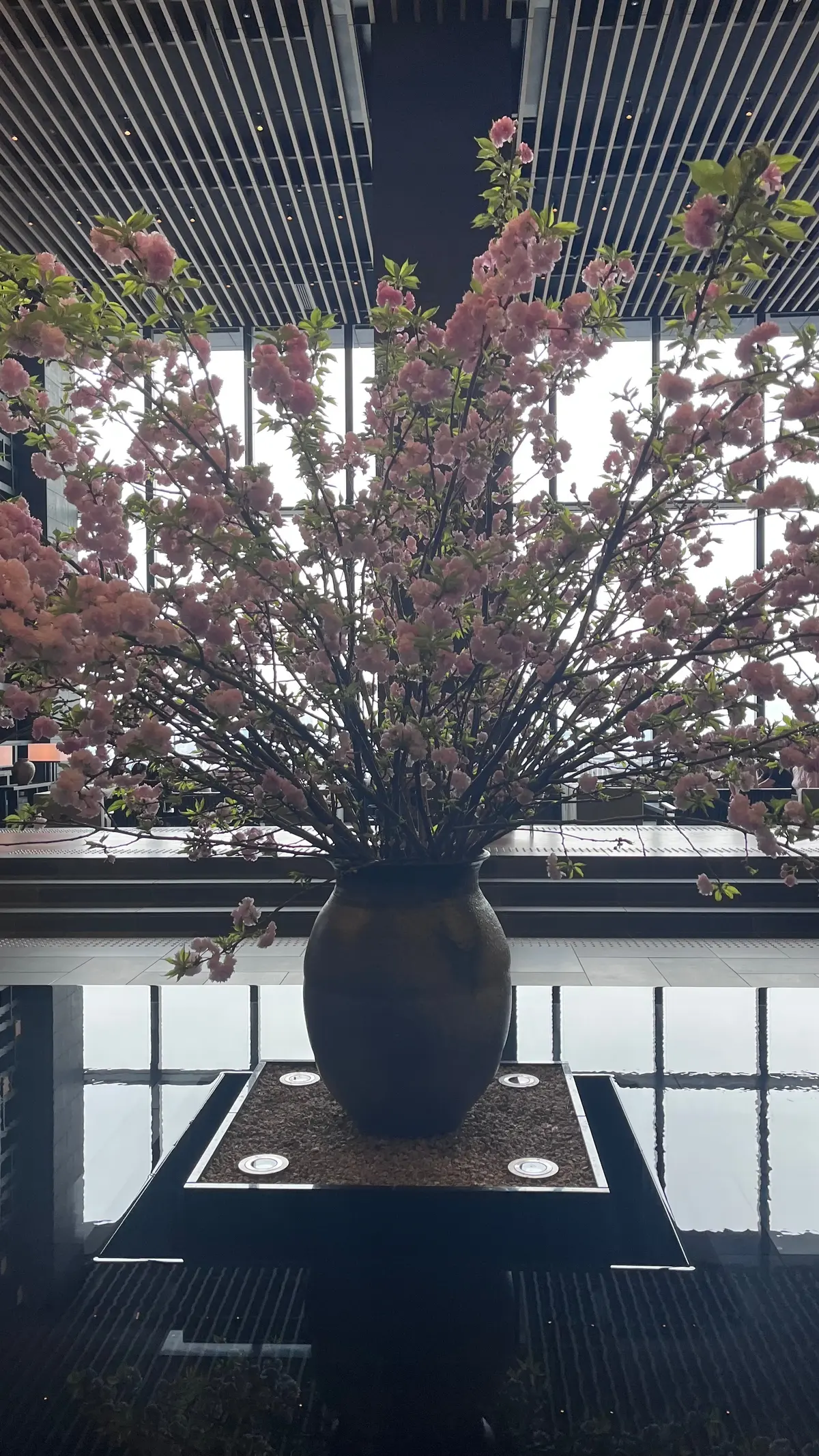 アマン東京【アルヴァ】へ✨初夏のホテルラの画像_8