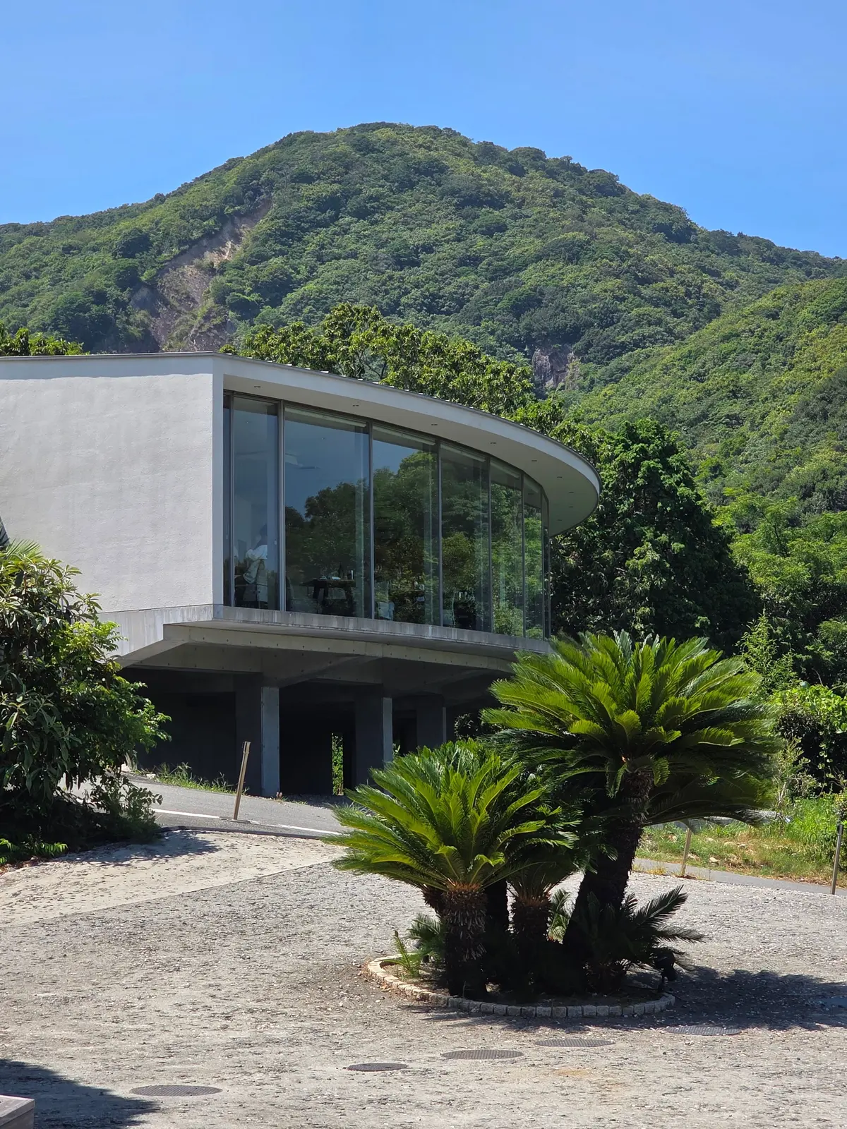 緑豊かな山を背景に、コンクリートとガラス張りのモダンな建物。建物は半円形で、駐車場に面した部分がガラス窓になっている。手前には、数本のヤシの木が植えられている。