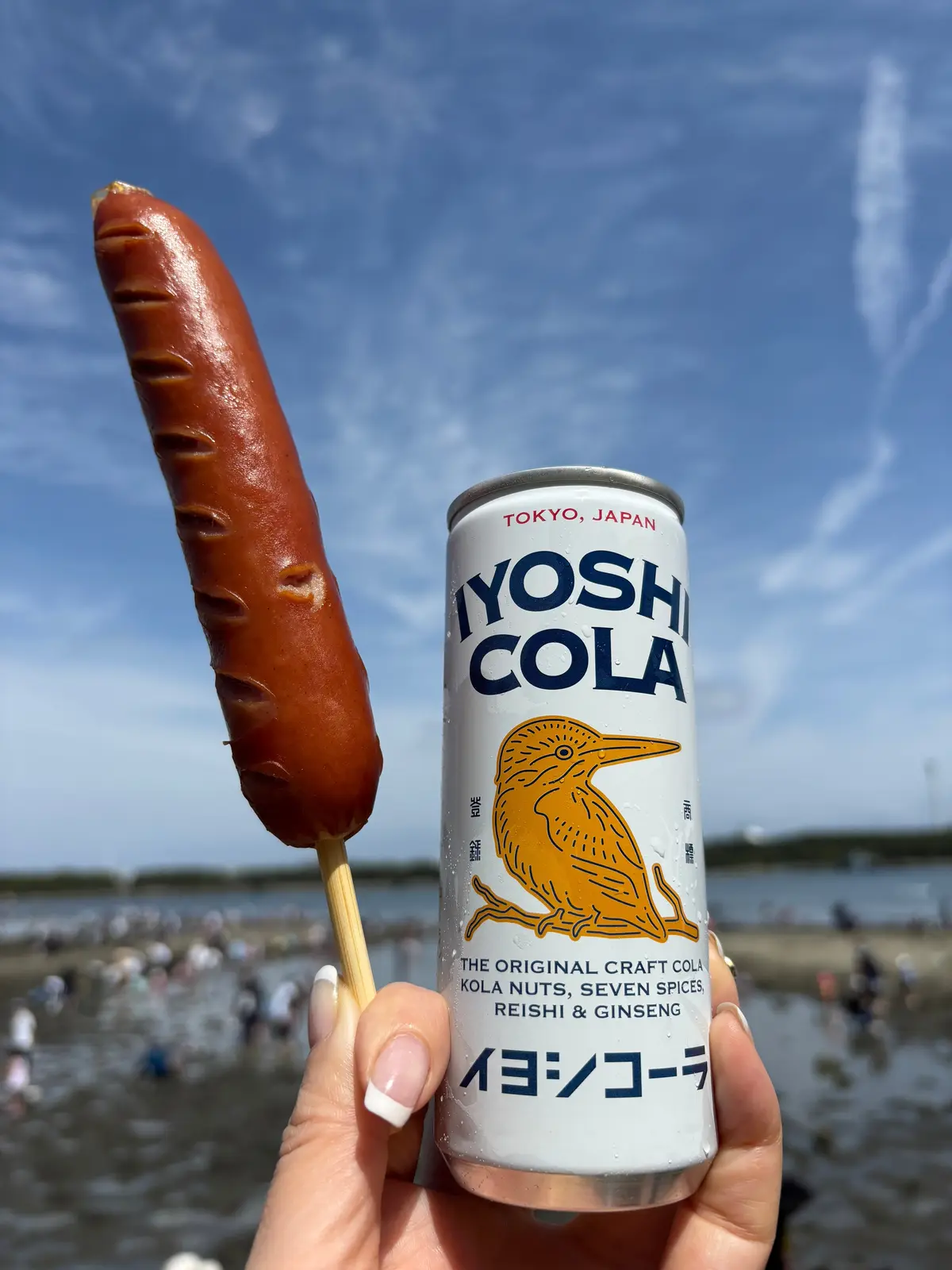 海の公園で潮干狩り。のんびりとした週末の画像_1