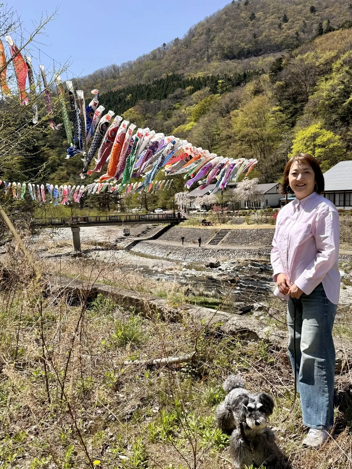 板室温泉　鯉のぼり　梅澤千佳子