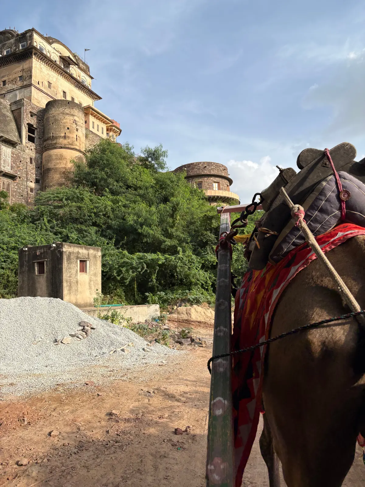 インドの風景。土の地面に停車したラクダの側面と、緑豊かな丘の上に建つ古い城が見える。空は晴れ。