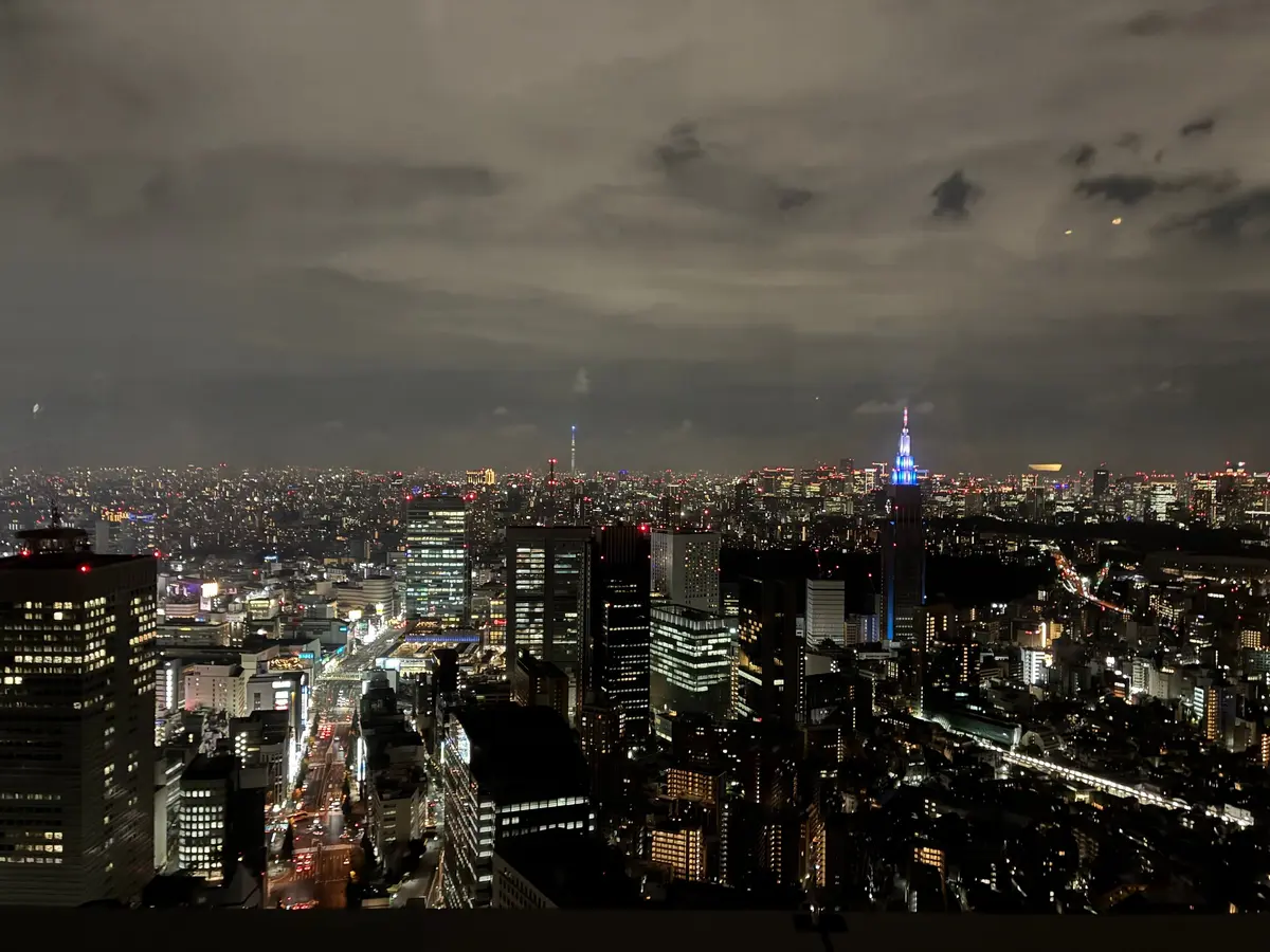 夜の東京の都市景観。高層ビル群が光り、遠くには電波塔がそびえ立つ。雲が広がり、街の明かりをぼんやりと照らしている。