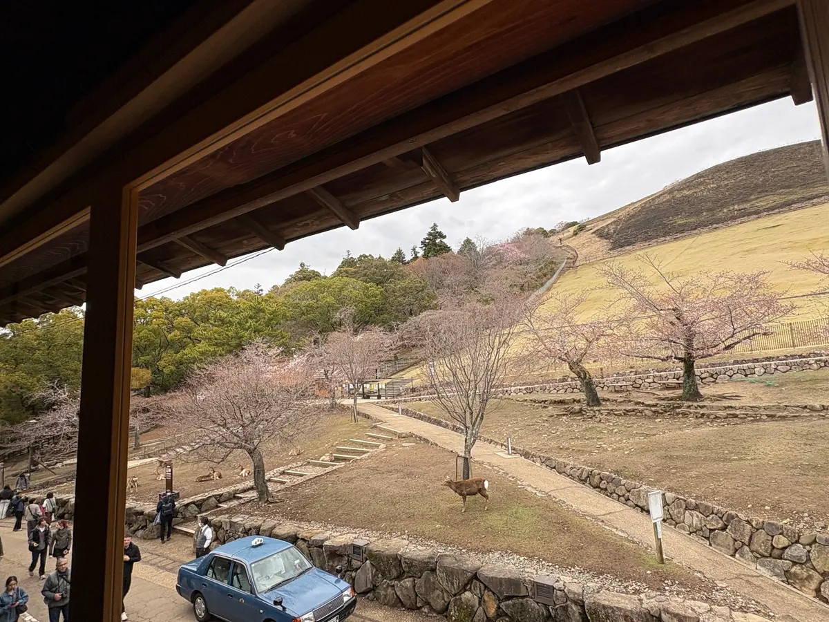 みんなが大好きなＴシャツにジャケットスタの画像_9