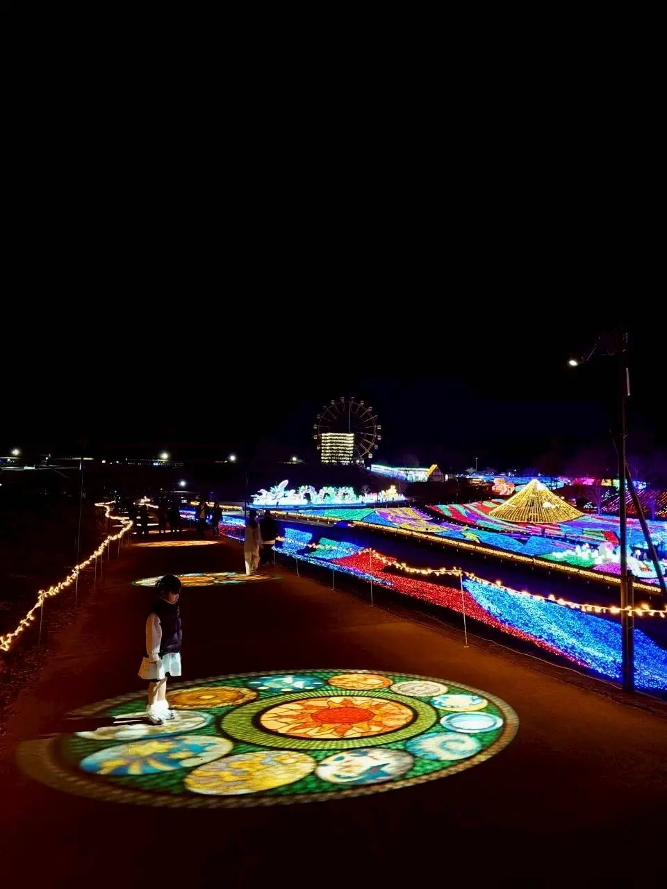 東京ドイツ村のイルミネーション　✨️キラの画像_34