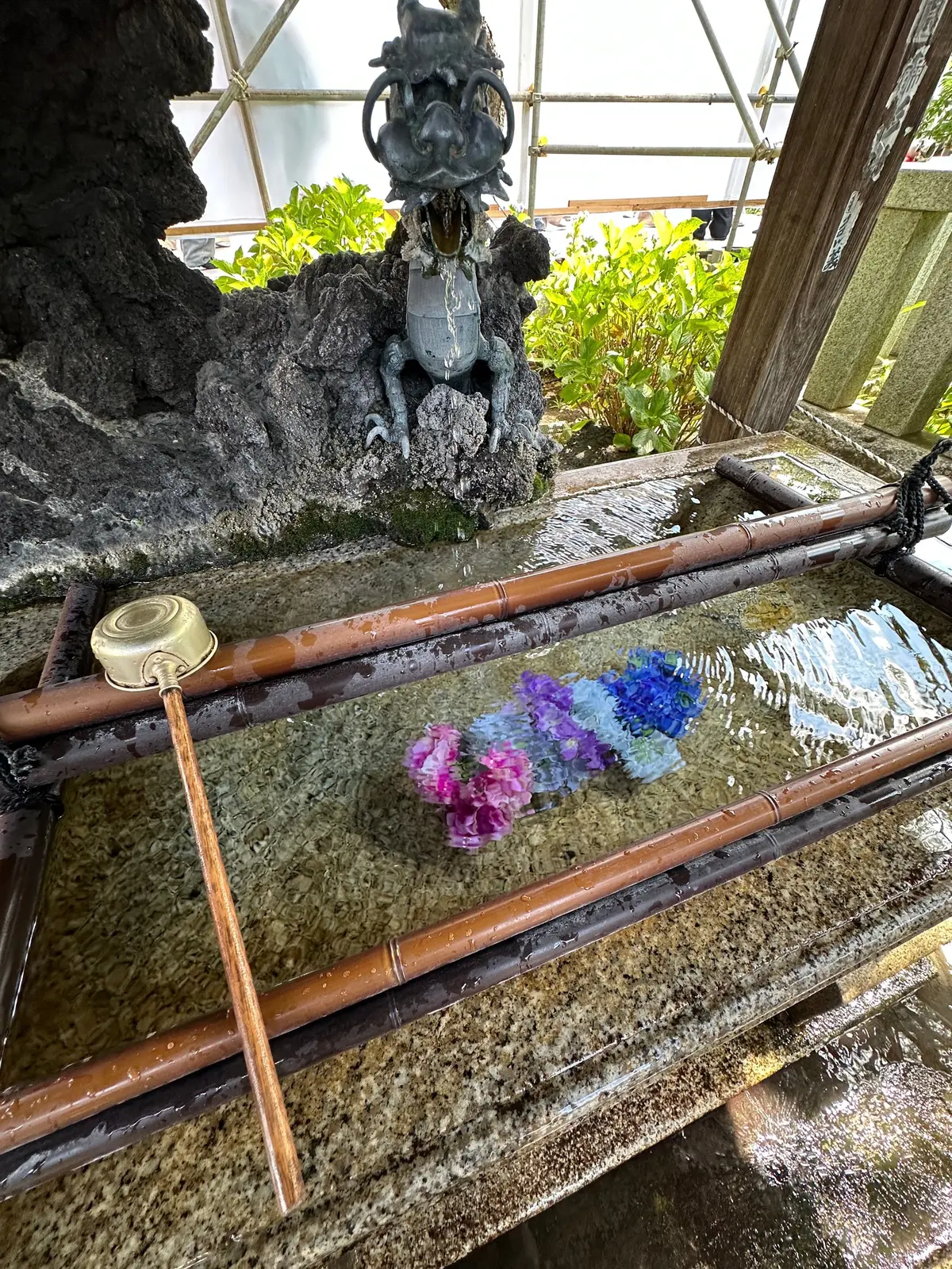 白山神社　あじさいまつり　紫陽花　手水舎　富士塚　梅雨　散策