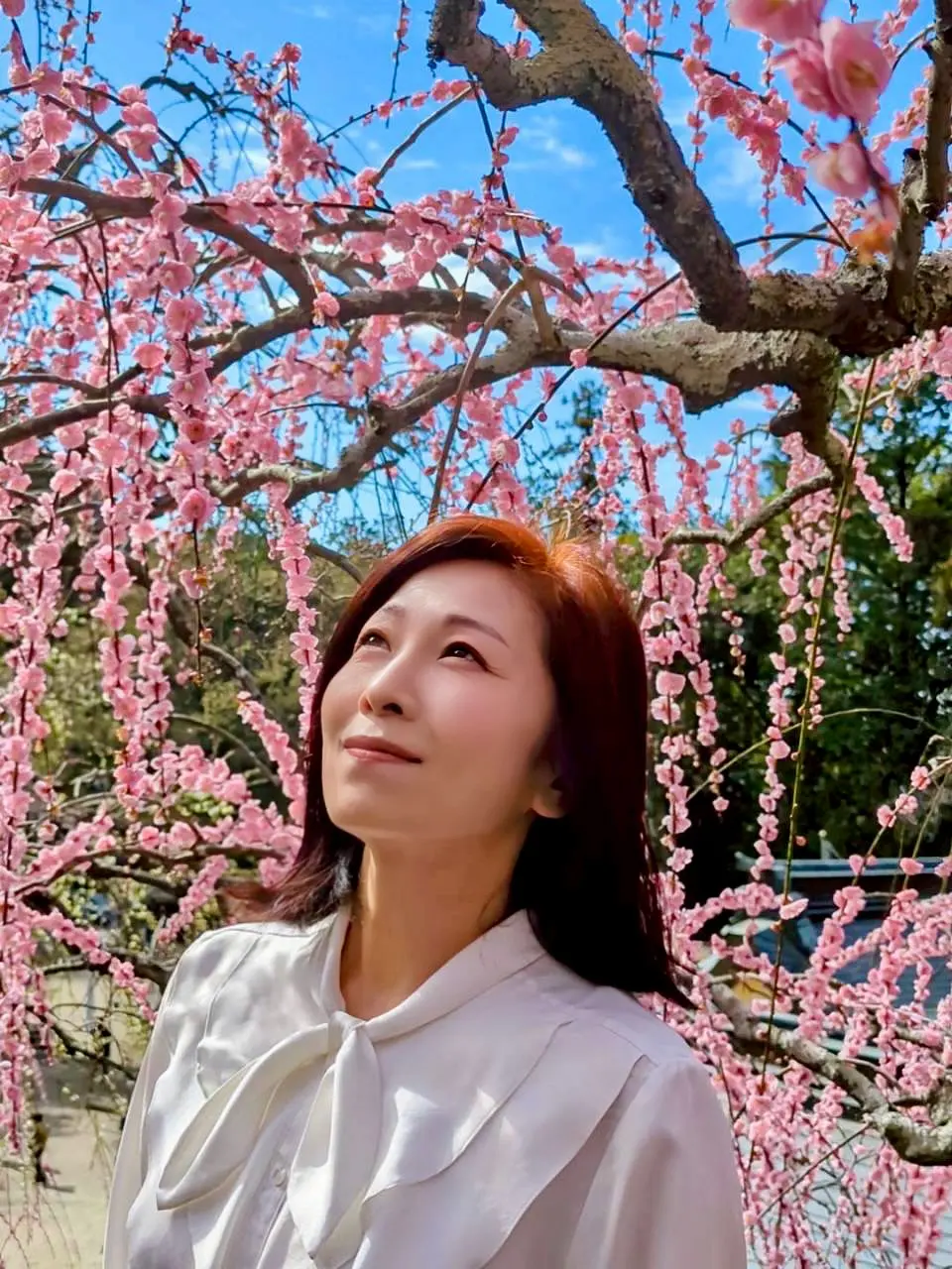 幸せ色の春！大縣神社「梅まつり」の画像_1