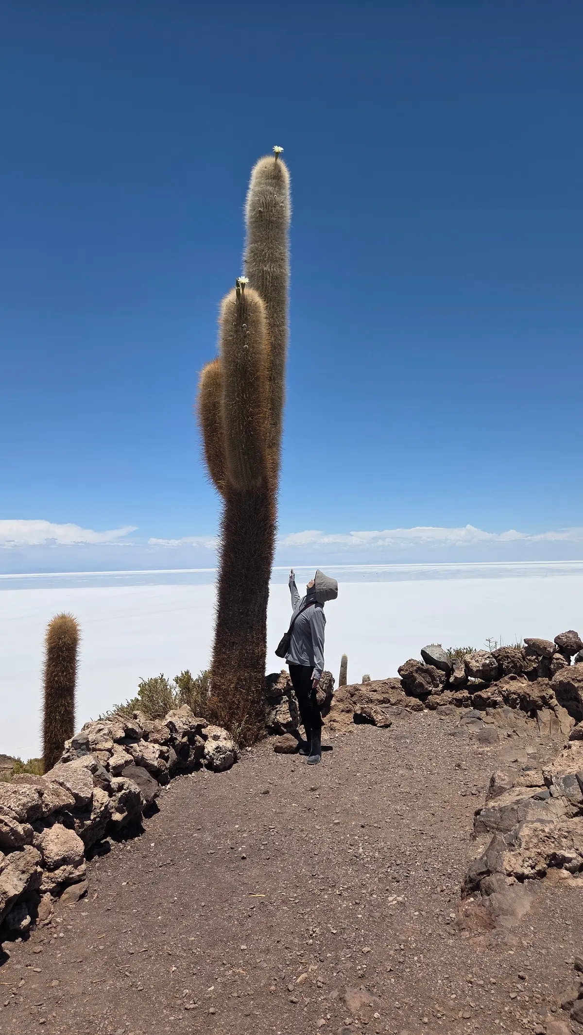 初日の出はウユニ塩湖での画像_12