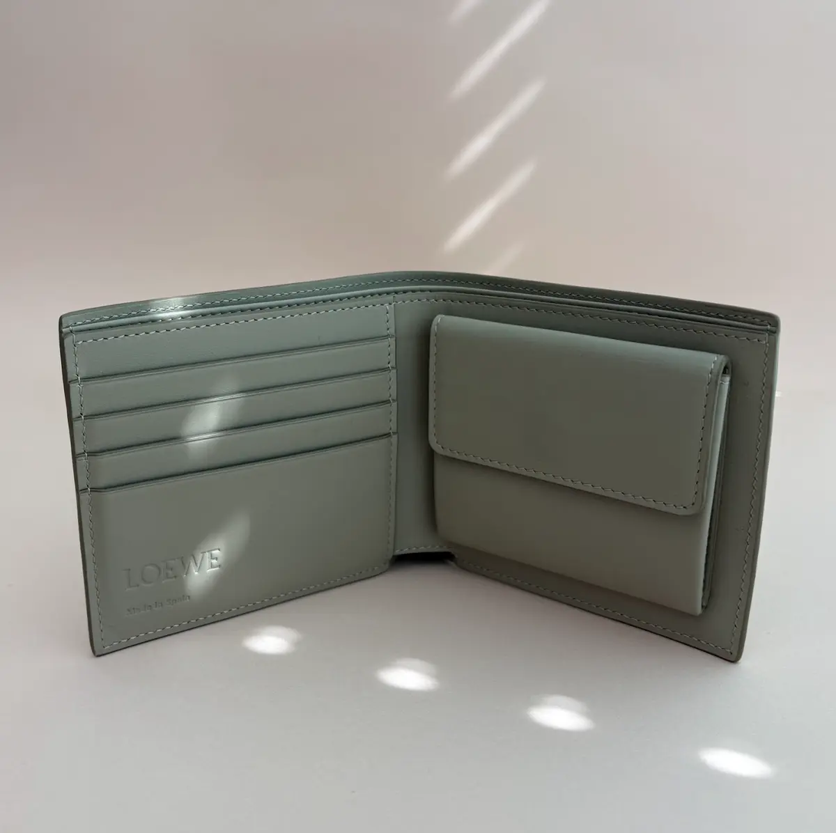 ロエベの二つ折り財布の中身  エクラ編集部員の偏愛名品図鑑 