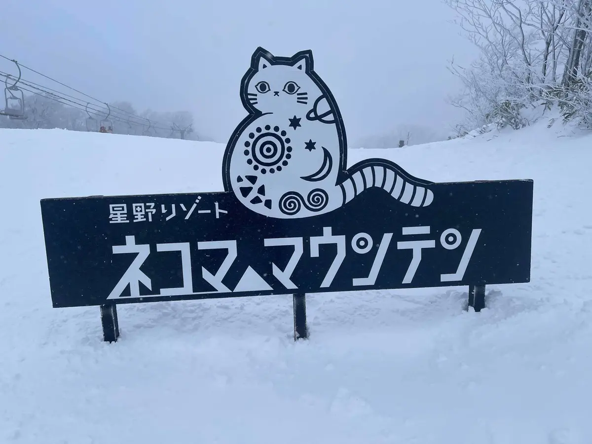 ネコママウンテン