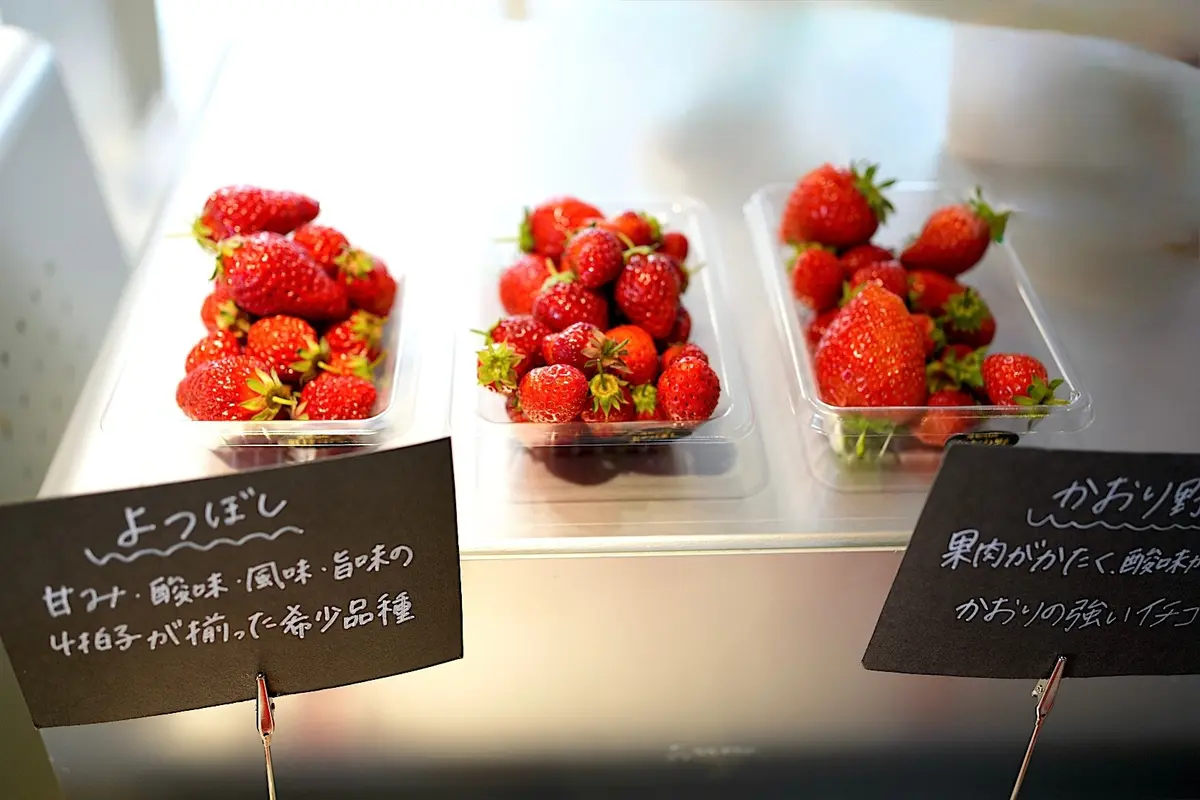 ニッケファーム