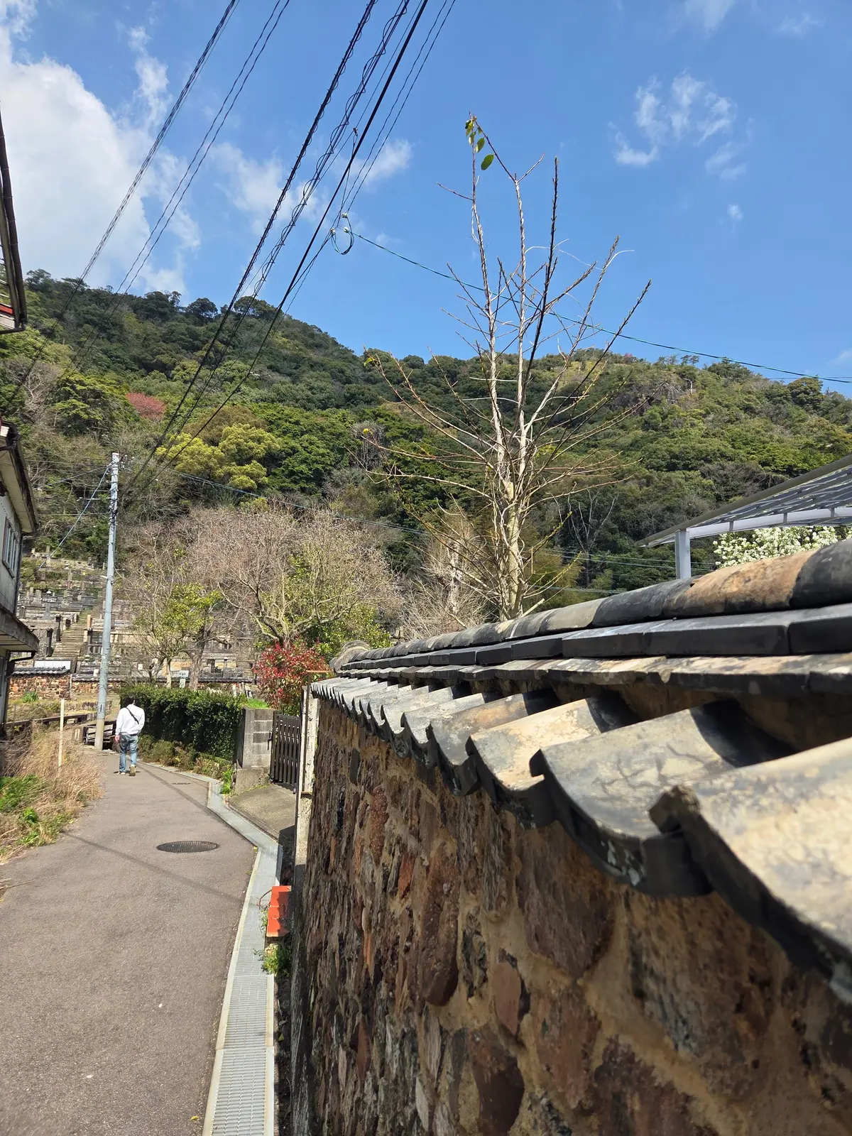 馬場の山桜と有田焼を巡る、佐賀の一日の画像_8
