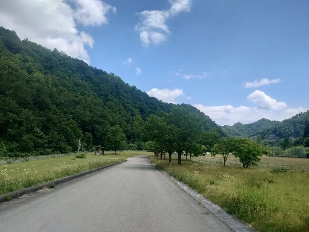 山腹に広がる緑豊かな森と、両側に木々が並ぶ広いアスファルト道路が延びる風景。青空に白い雲が浮かび、左側に起伏のある山々が広がる。
