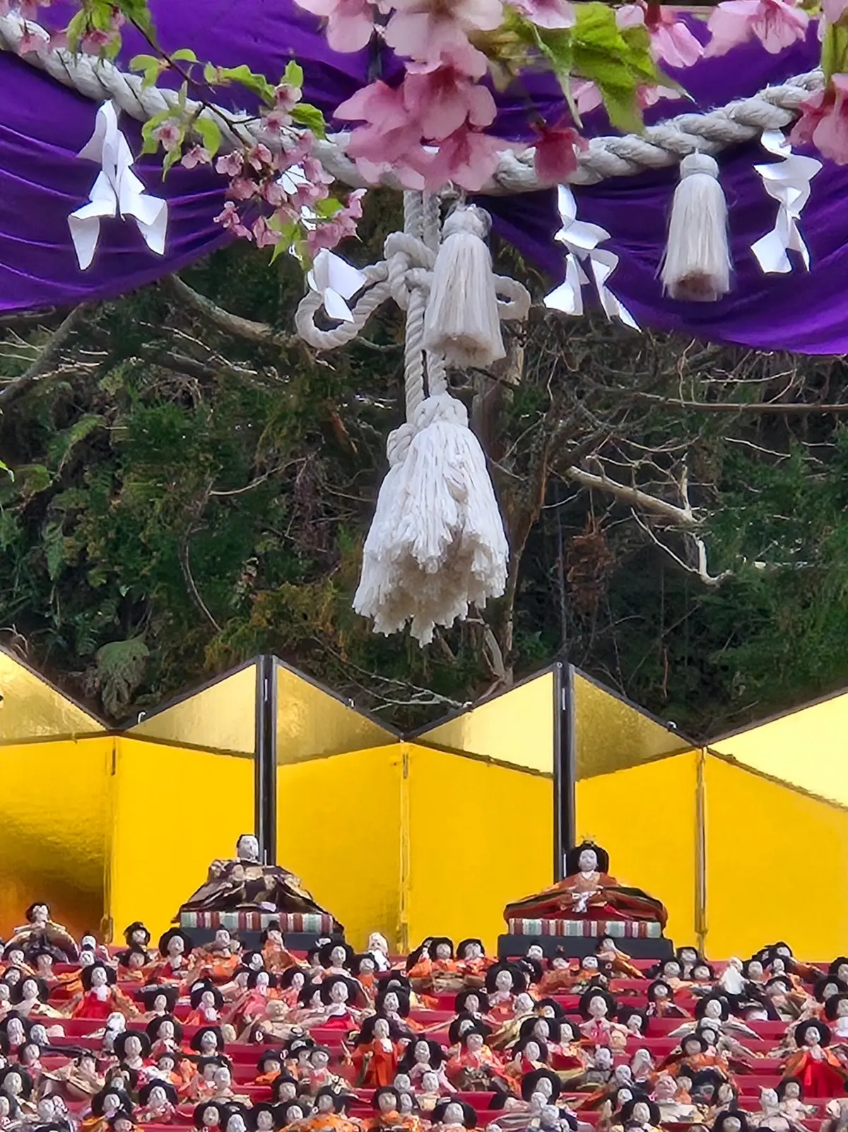 早春の房総半島鉄道旅 後編 かつうらビッの画像_10