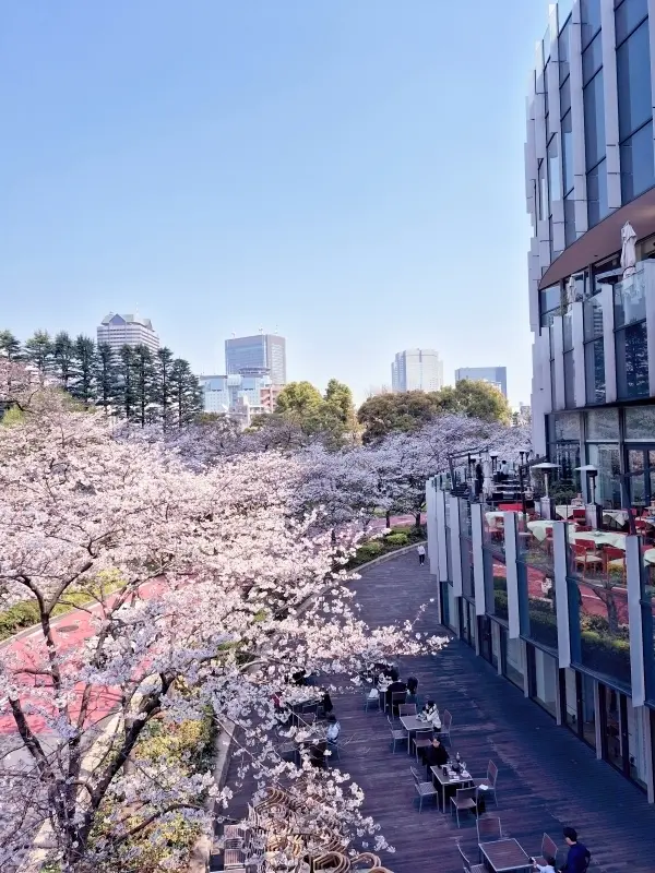 【東京ミッドタウン】から【毛利庭園】へおの画像_5
