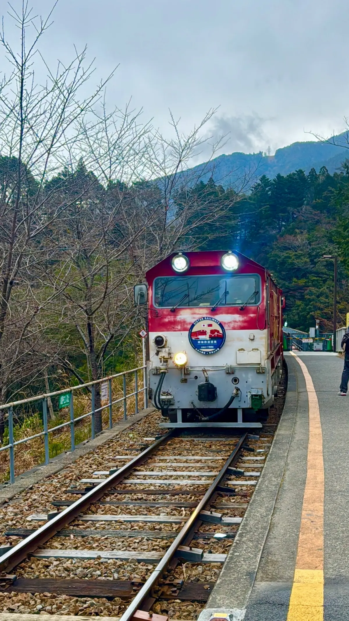 【絶景秘境】エメラルドグリーンの湖に浮かの画像_19