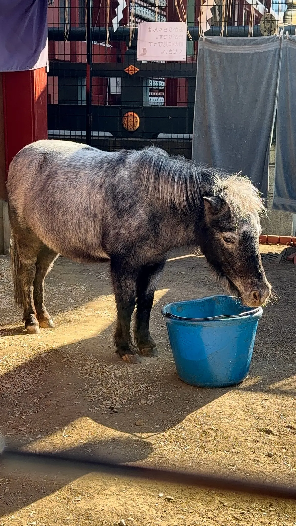 ブログも私も心機一転リニューアル。神田明の画像_5
