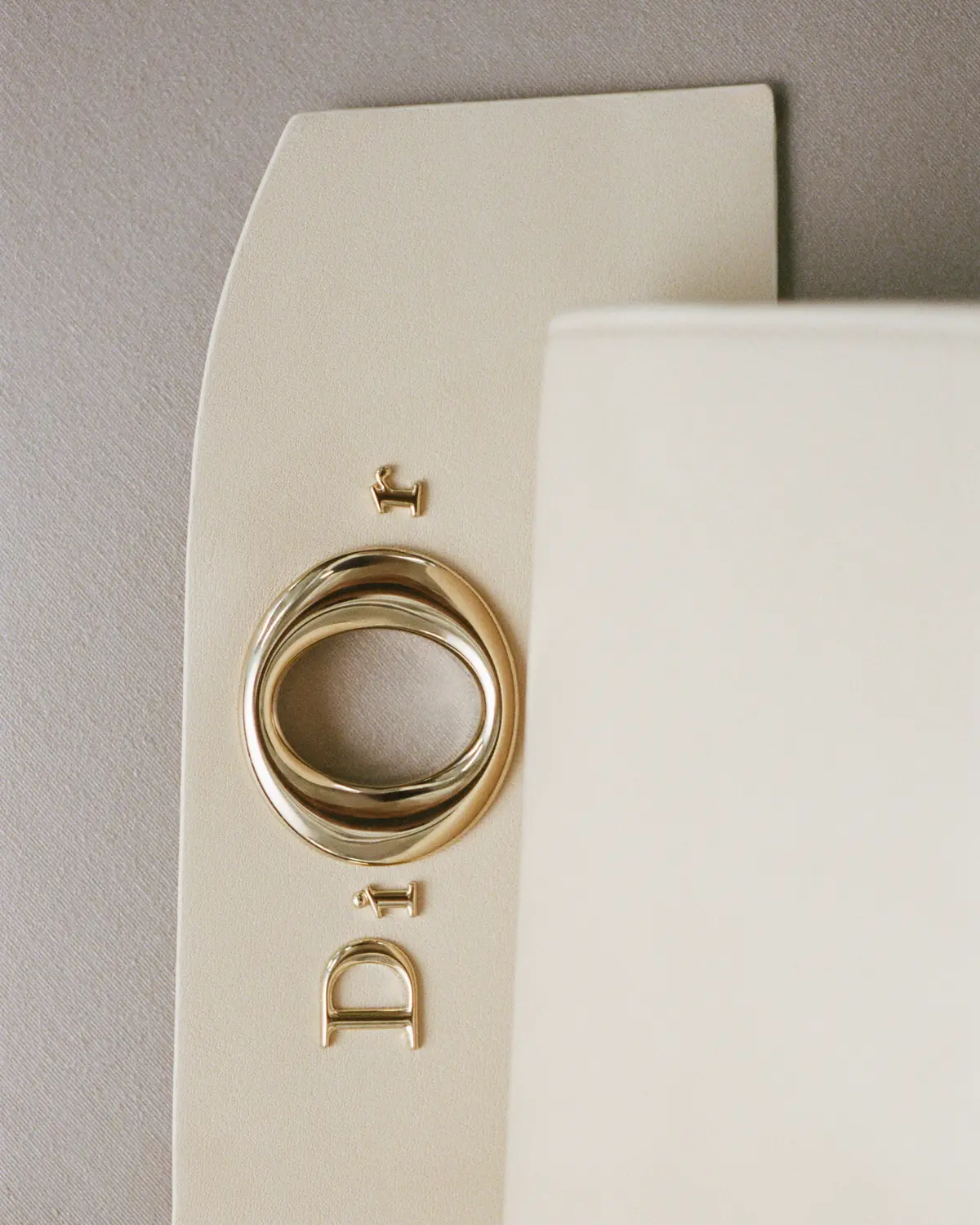 バッグ「ディオール シガール」ロゴの表現