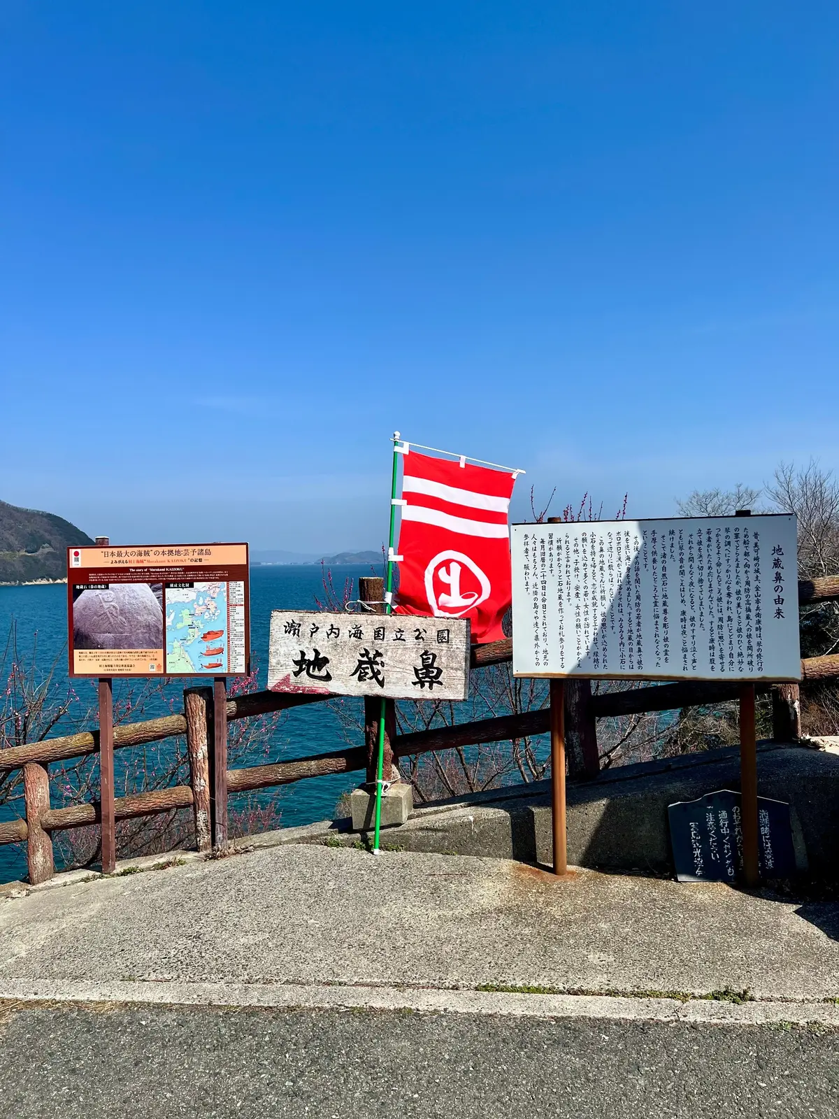 UNIQLOバレルパンツで河津桜、春の大の画像_6