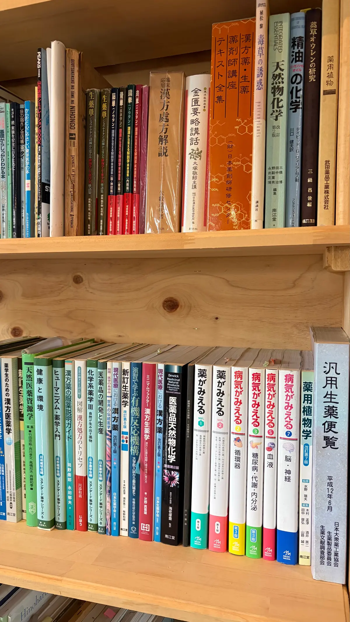 岐阜・郡上で出会った木の温もり「ハーベスの画像_10