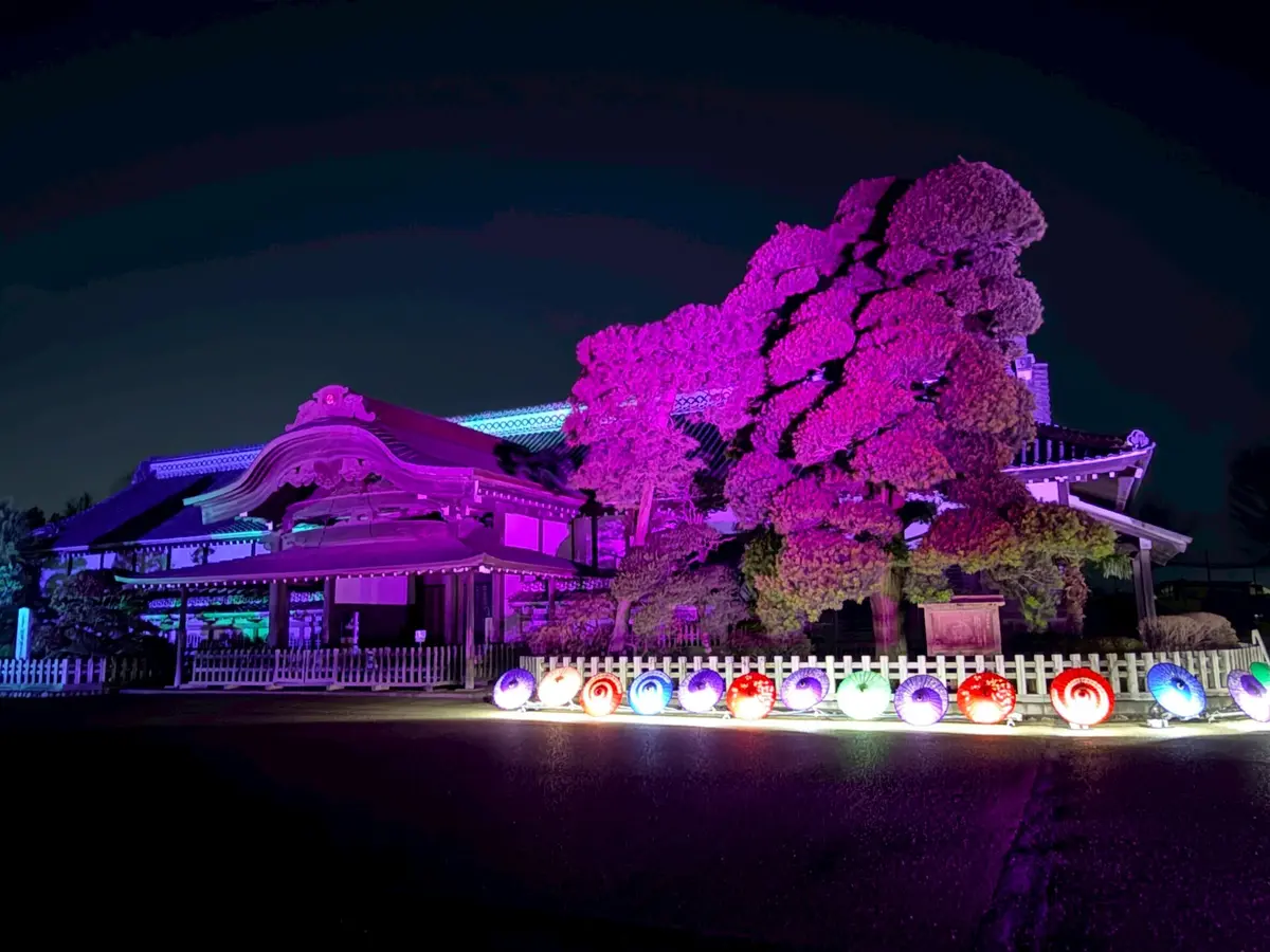 川越城のライトアップ