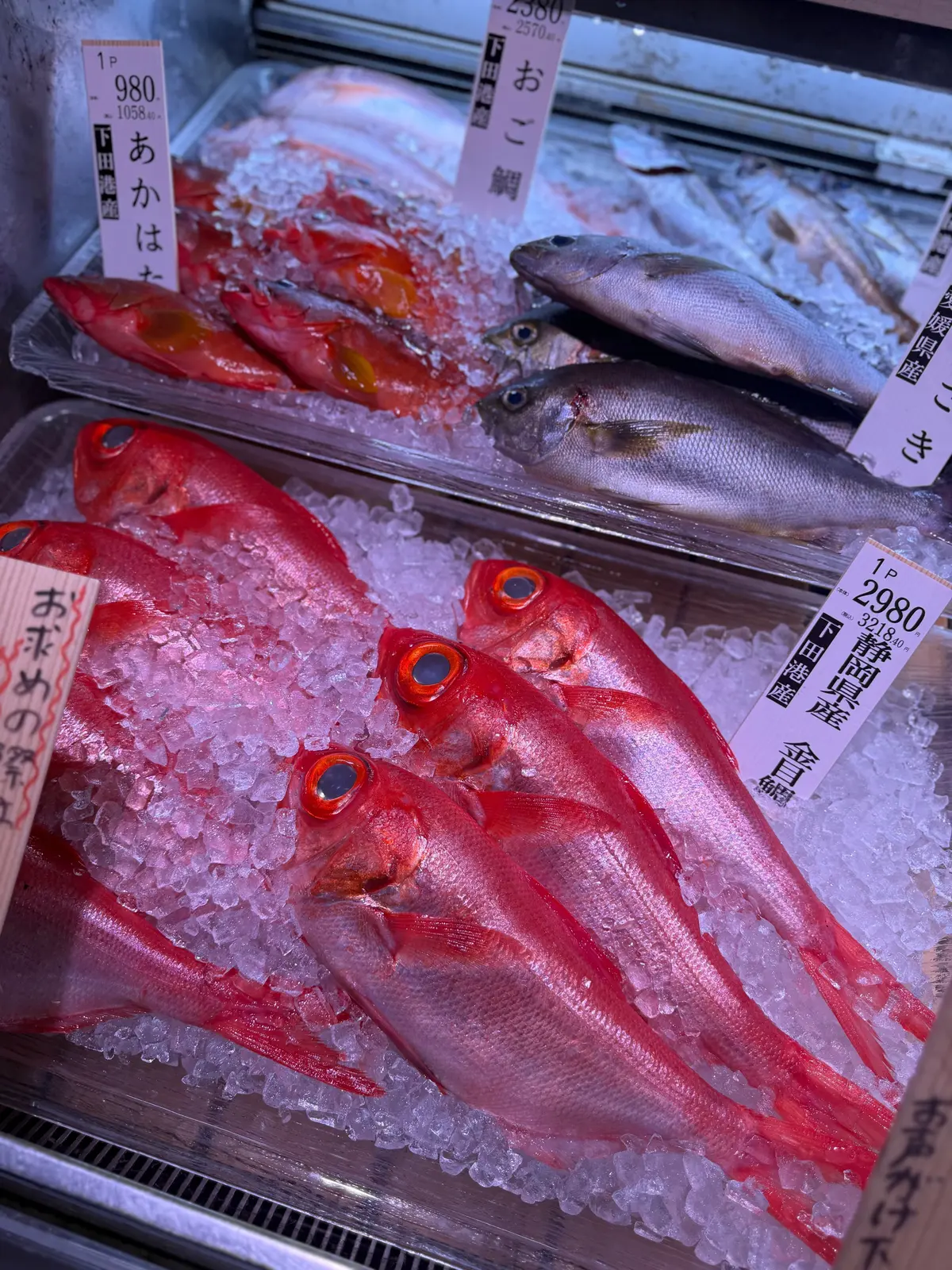 氷の上に並べられた魚介類。赤色の魚、銀色の魚、平たい魚がそれぞれ見られ、価格表示のラベルが付いている。