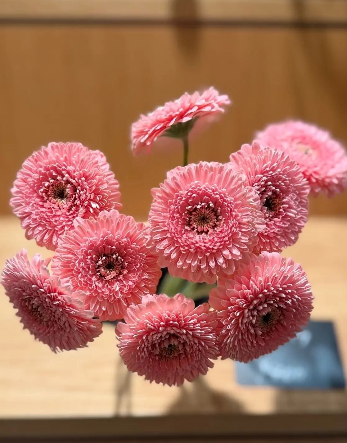 NEWoMan高輪28階の空中庭園は美しの画像_2